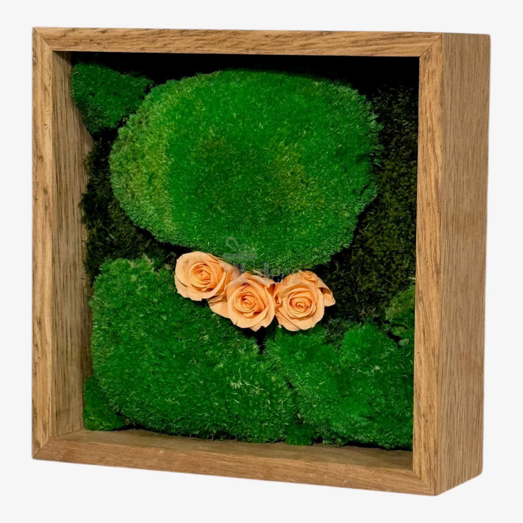 Tablou decorativ 27x27 cm cu mușchi natural și trandafiri criogenați piersică, în ramă de lemn, perfect pentru decor interior modern