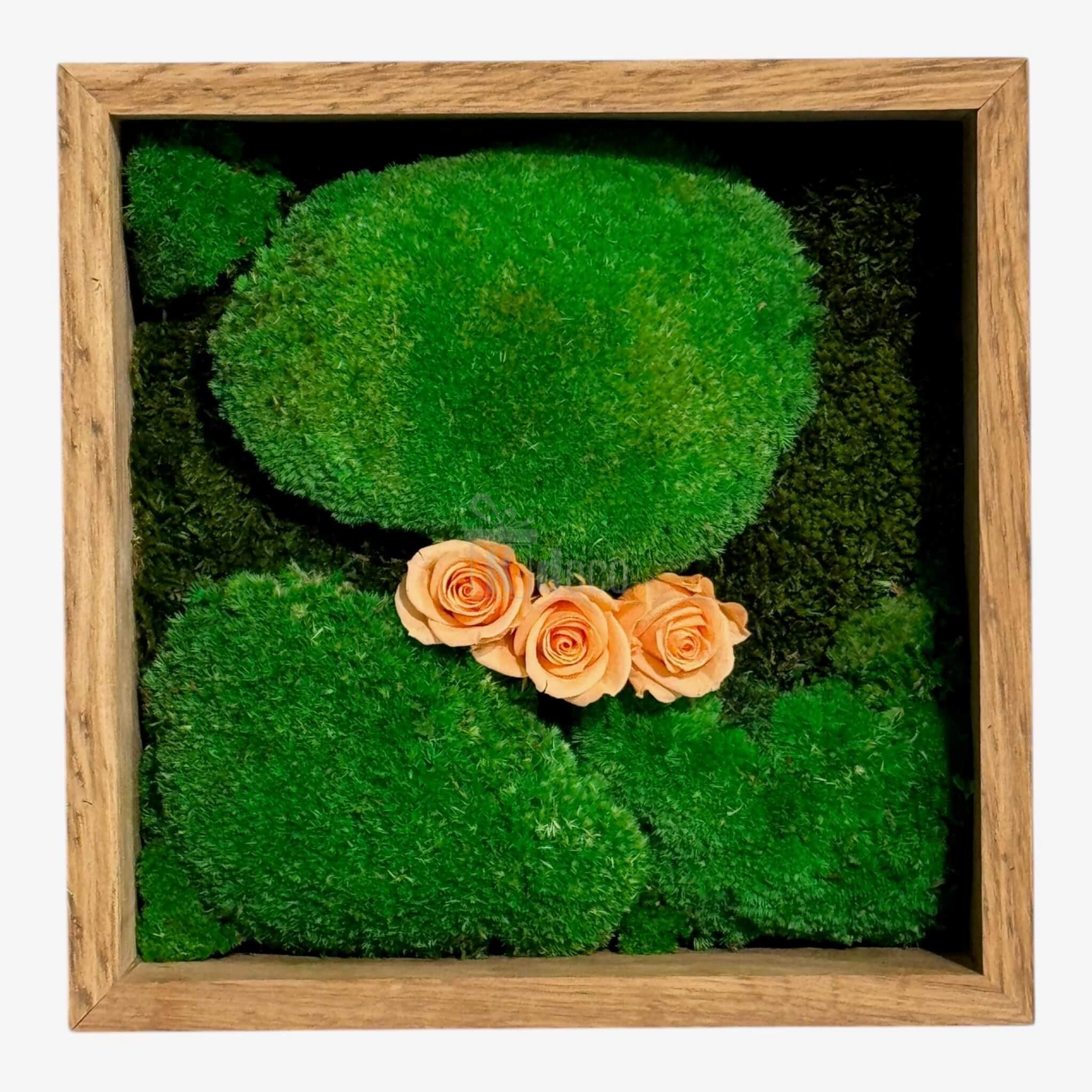 Tablou Natural cu mușchi stabilizat și 3 trandafiri criogenați piersică, dimensiune 27x27 cm, potrivit pentru decor eco-chic