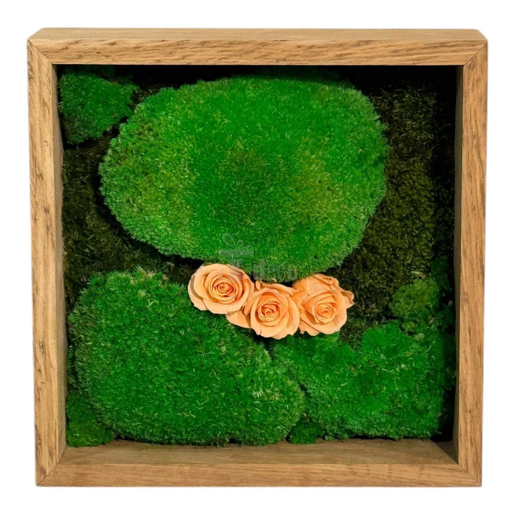 Tablou pătrat 27x27 cm cu mușchi bombat și trandafiri criogenați piersică, decor natural pentru casă sau birou