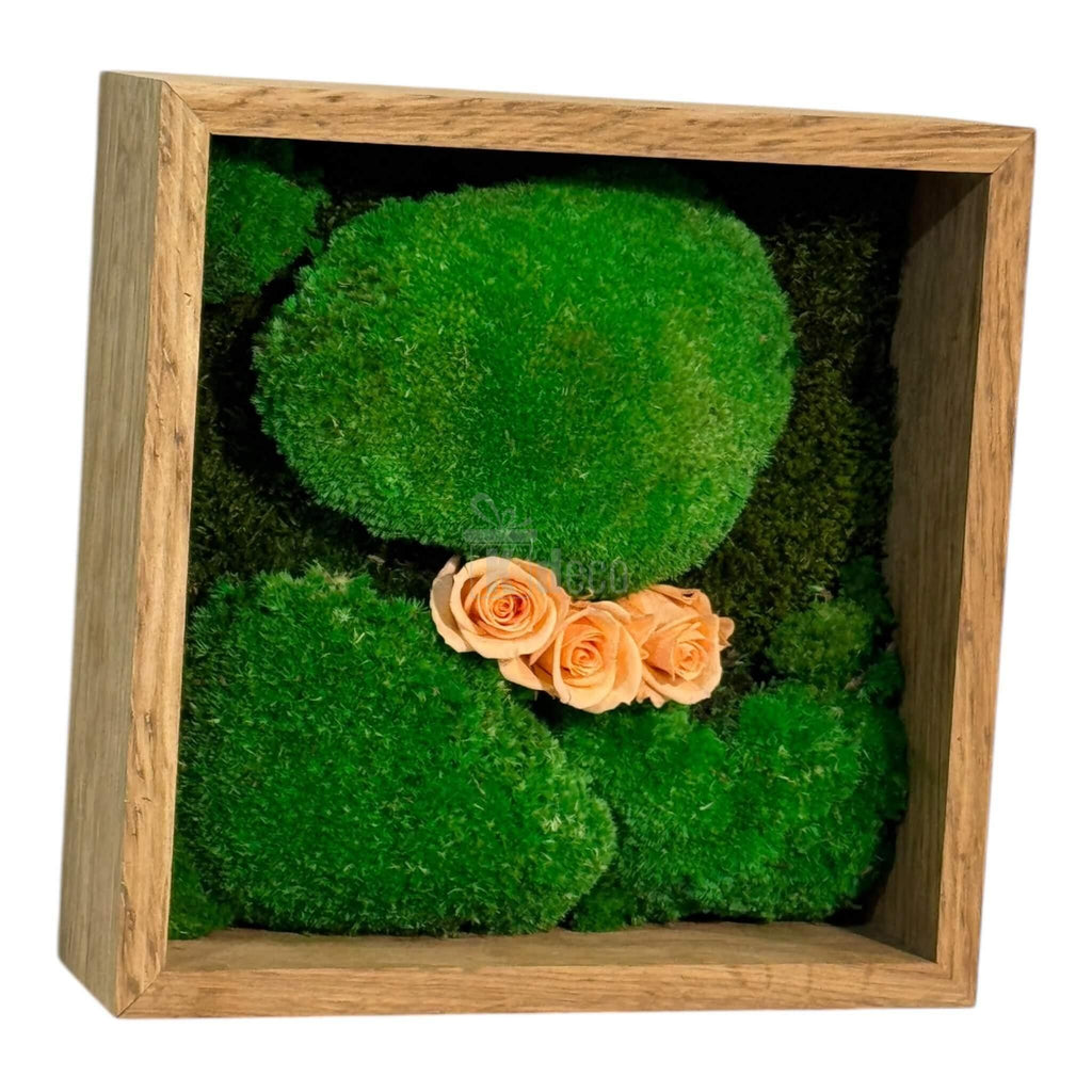 Tablou decorativ cu mușchi stabilizat și trandafiri criogenați piersică în ramă de lemn, dimensiune 27x27 cm, stil natural