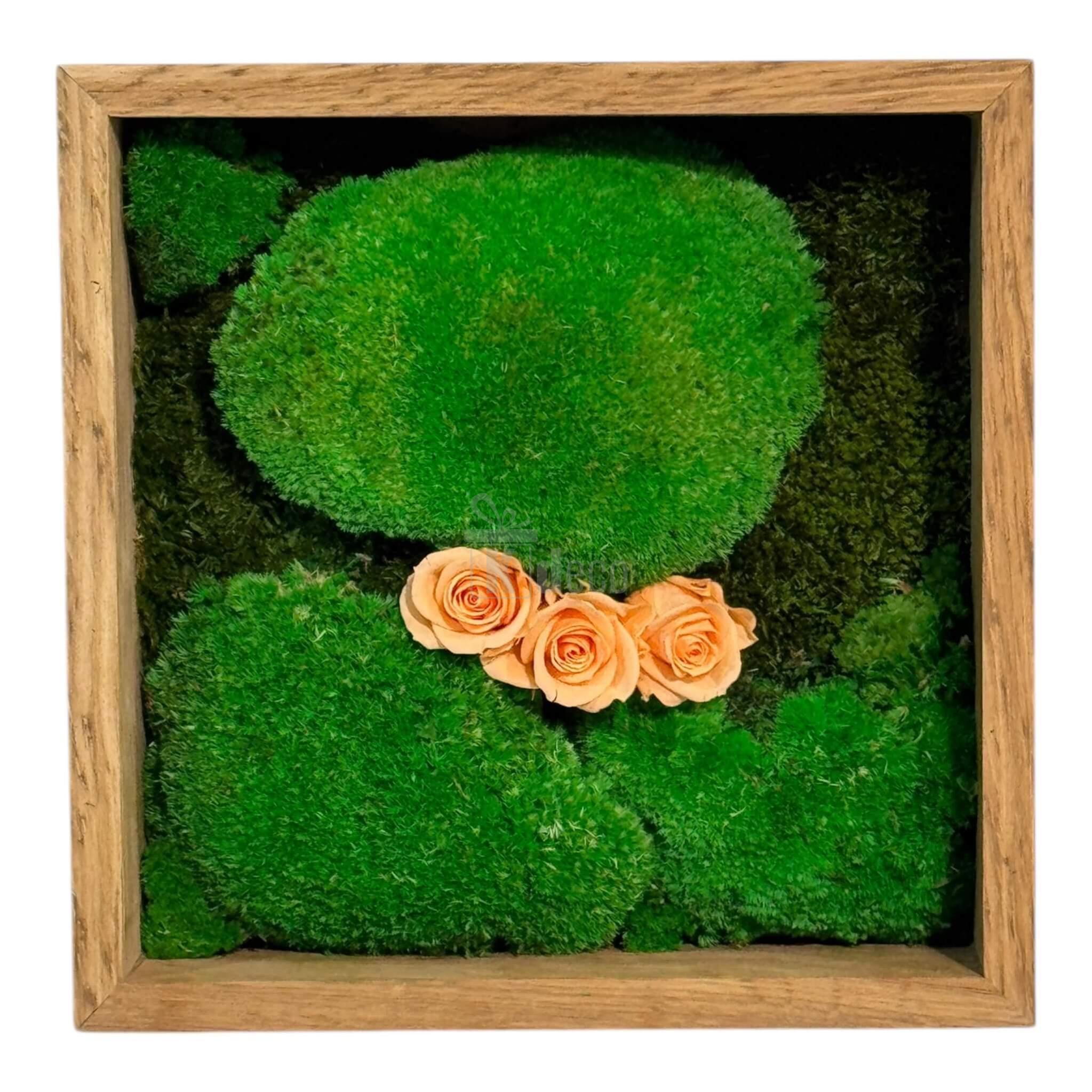 Tablou Natural 27x27 cm cu mușchi verde și trandafiri criogenați piersică, decor eco pentru perete, ideal pentru living
