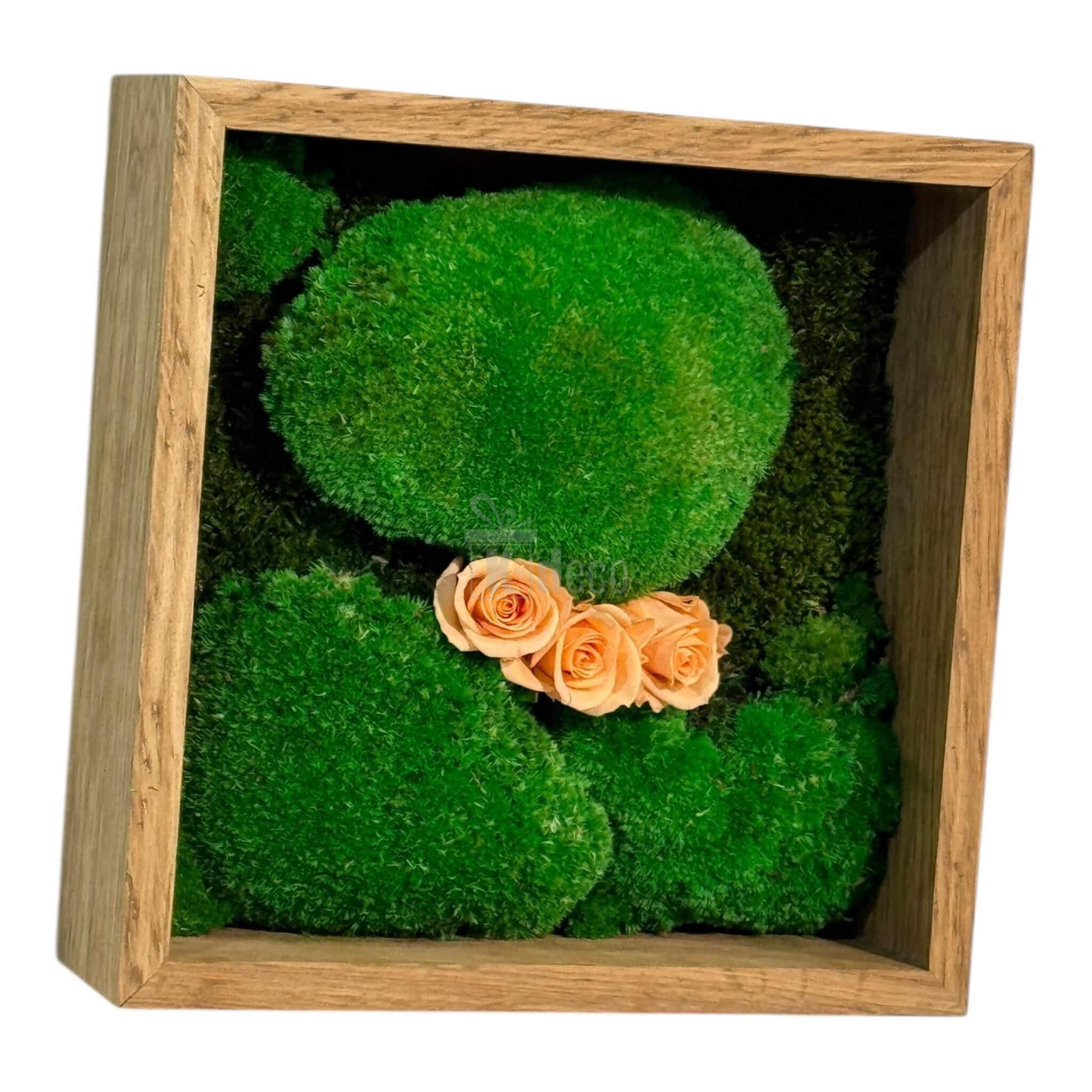 Tablou decorativ cu mușchi stabilizat și 3 trandafiri criogenați piersică, în ramă pătrată de lemn, dimensiune 27x27 cm