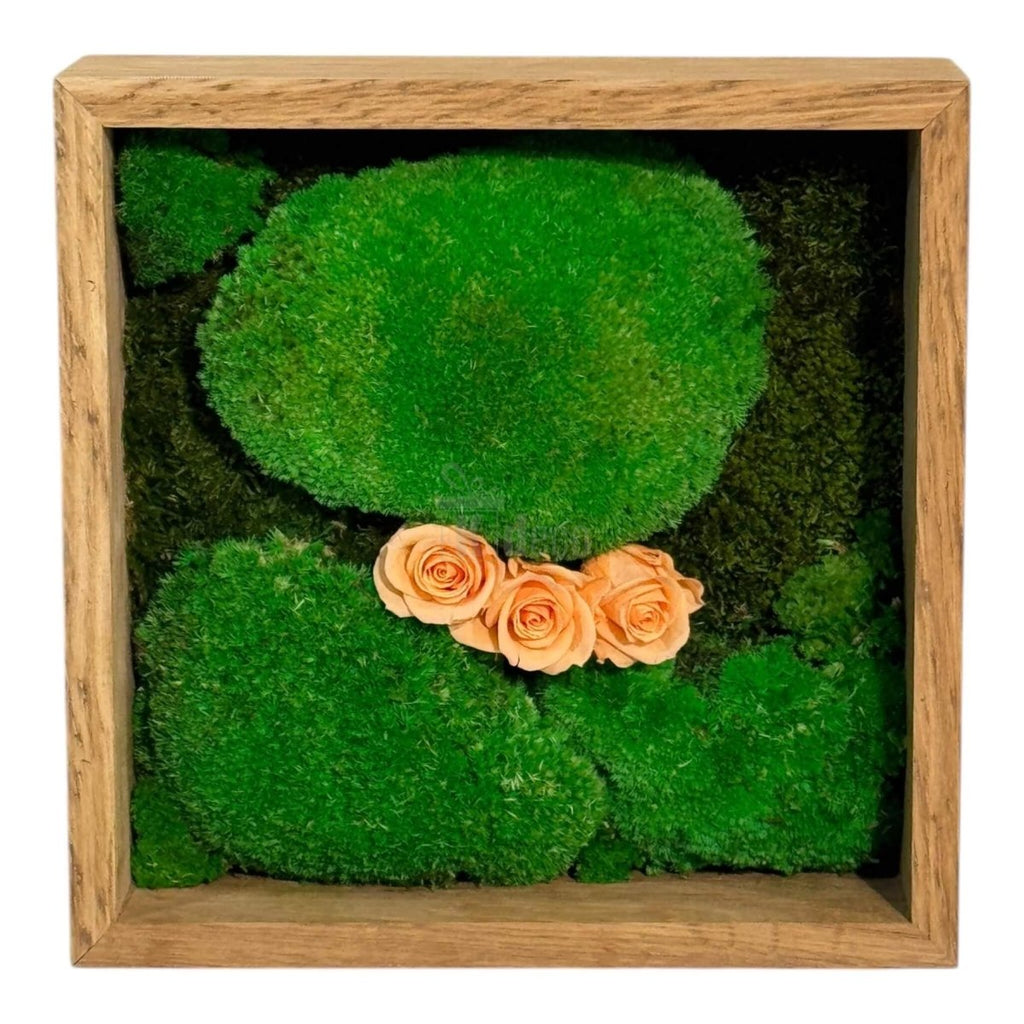 Tablou pătrat 27x27 cm cu mușchi bombat și trandafiri criogenați piersică, decor natural pentru casă sau birou
