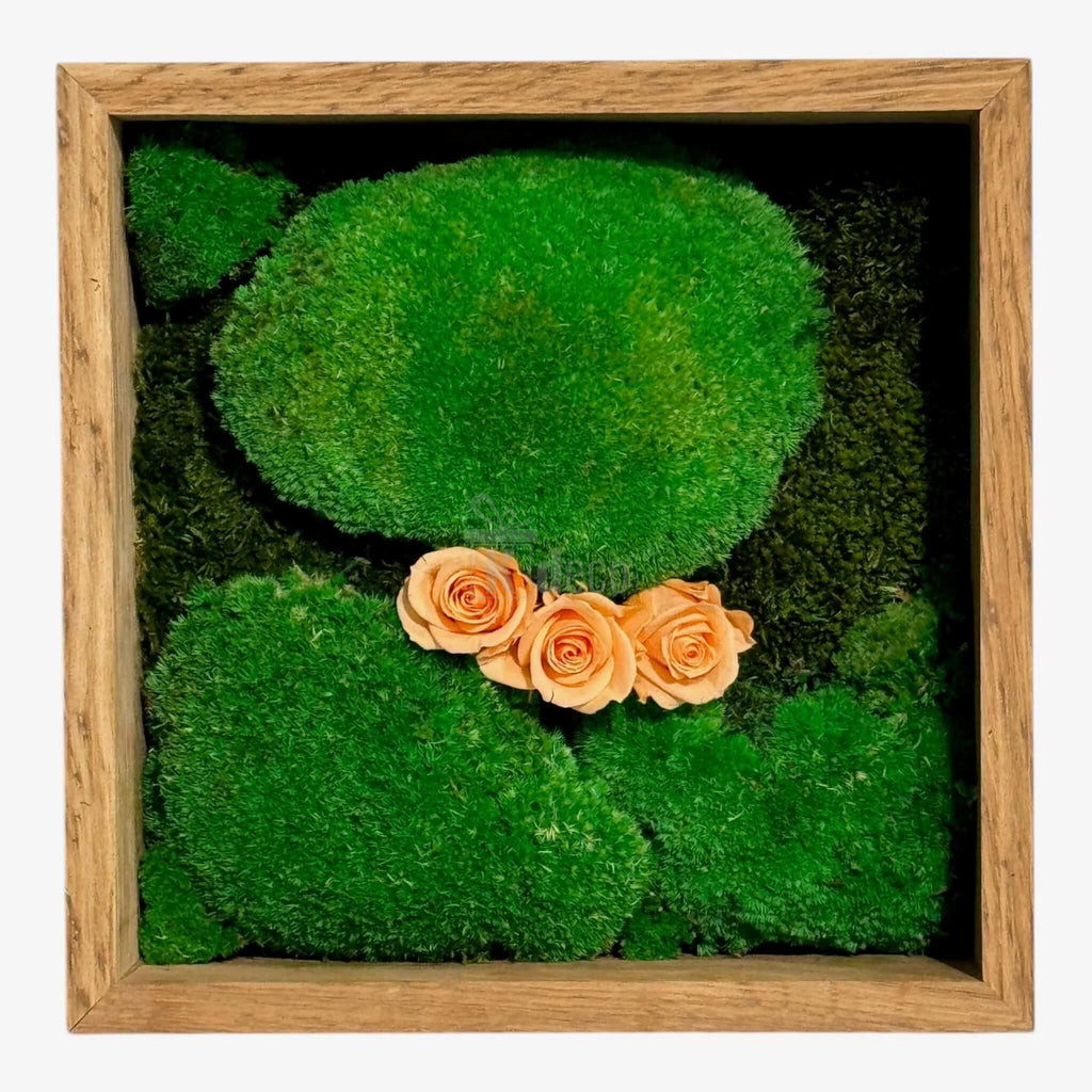 Tablou Natural 27x27 cm cu mușchi bombat și plat stabilizat și 3 trandafiri criogenați piersică, în ramă de lemn, decor elegant pentru perete