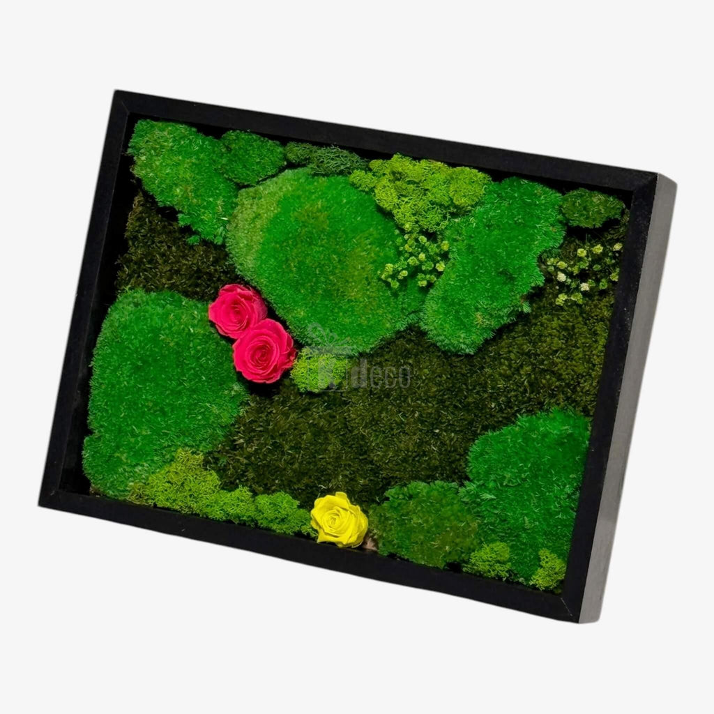 Tablou vegetal cu mușchi și trandafiri criogenați, în ramă neagră, dimensiune 30x40 cm, perfect pentru decorarea pereților acasă sau la birou.