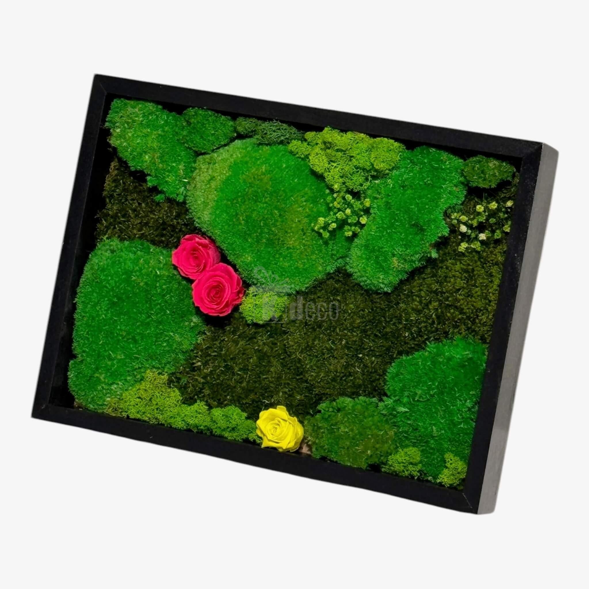Tablou vegetal cu mușchi și trandafiri criogenați, în ramă neagră, dimensiune 30x40 cm, perfect pentru decorarea pereților acasă sau la birou.