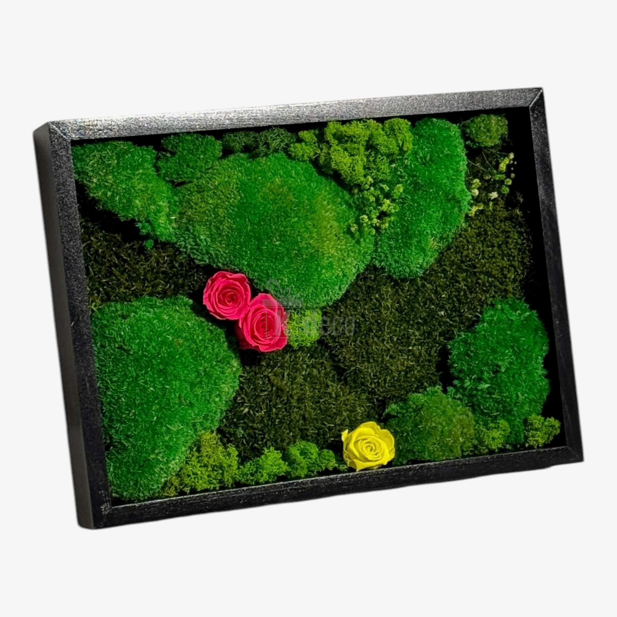 Tablou Natural cu ramă neagră, mușchi stabilizați și trandafiri criogenați roz și galben, potrivit pentru decor eco-chic de perete.