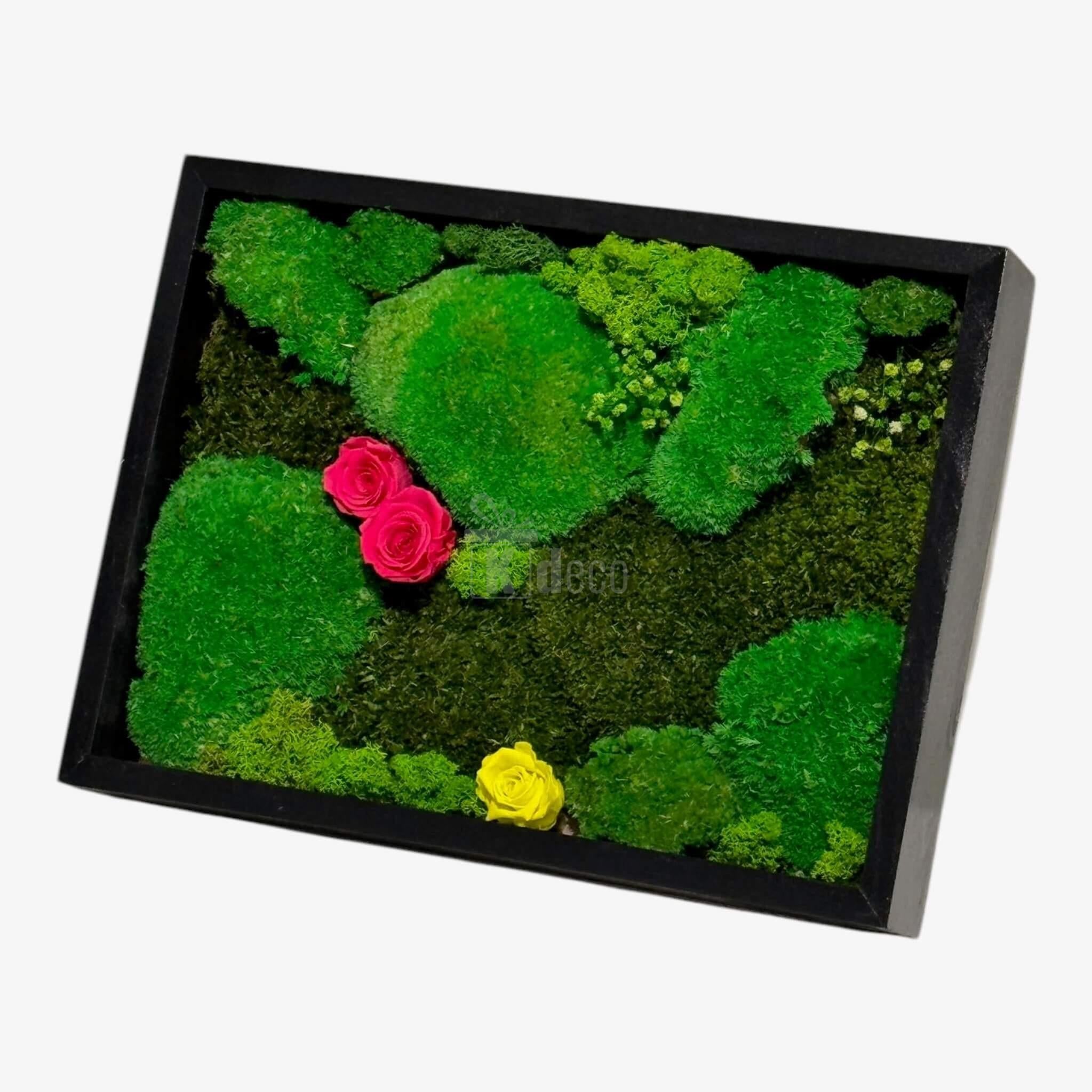 Tablou Natural cu mușchi și licheni verzi, decorat cu 3 trandafiri criogenați, perfect pentru decorarea pereților în stil biofilic.