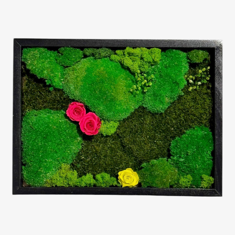 Tablou Natural 30x40 cm cu mușchi stabilizați, licheni verzi și 3 trandafiri criogenați roz și galben, ideal pentru decor eco modern.