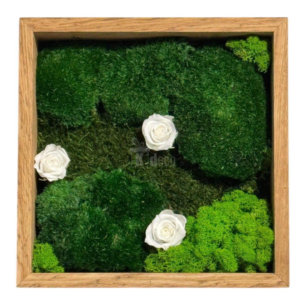 Tablou decorativ cu trandafiri criogenați albi și mușchi verde, 27x27 cm, perfect pentru decor natural