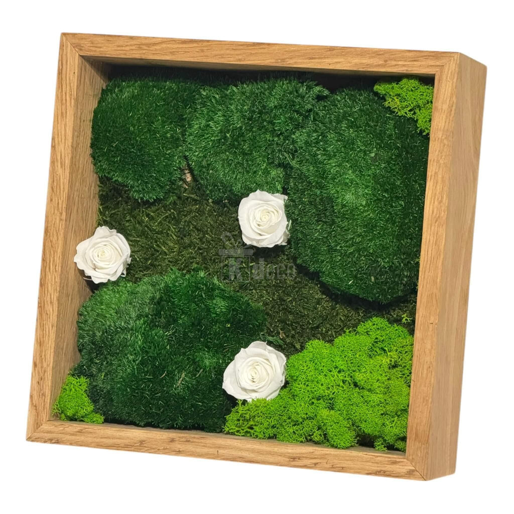 Tablou Natural cu trandafiri criogenați albi și licheni, ramă din lemn, decor elegant pentru casă 27x27 cm