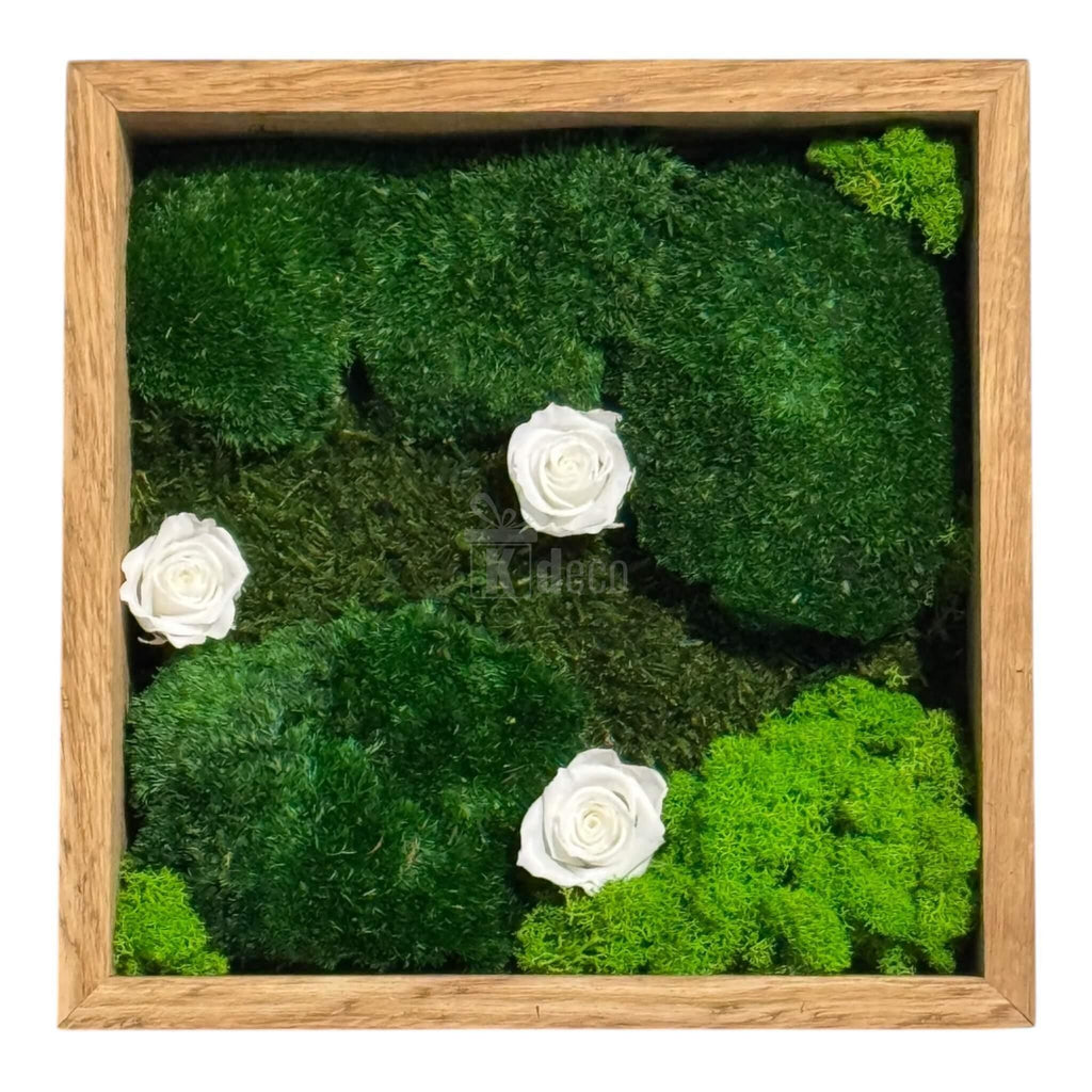 Decor de perete cu trandafiri criogenați albi și mușchi verde, Tablou Natural 27x27 cm pentru un ambient sofisticat