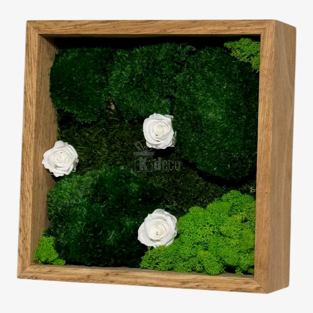 Decor de perete cu trandafiri criogenați albi și mușchi natural, Tablou 27x27 cm pentru un ambient rafinat