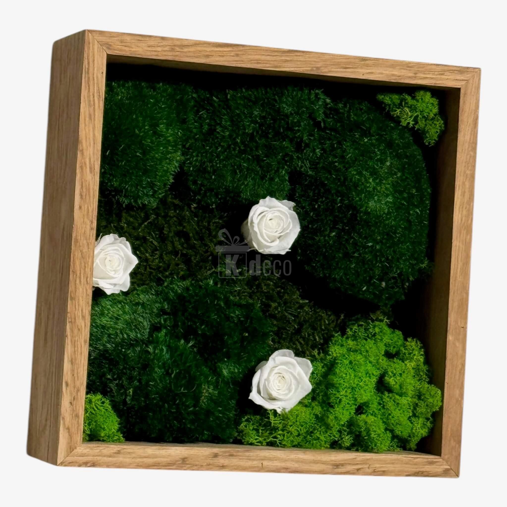 Tablou Natural cu 3 Trandafiri Criogenați Albi și licheni verzi, design eco pentru decor interior 27x27 cm