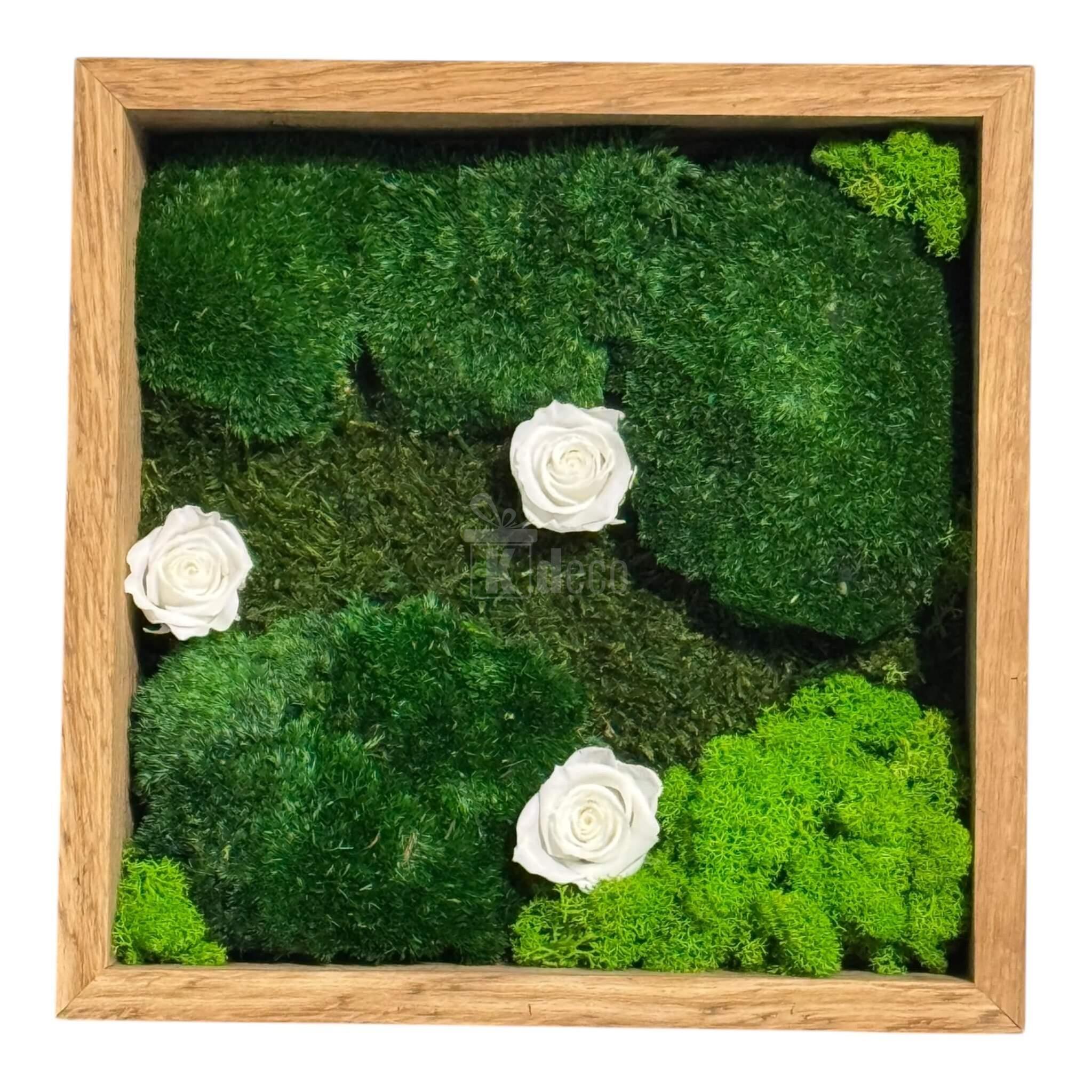 Decor eco cu trandafiri criogenați albi și licheni verzi în ramă din lemn, Tablou Natural 27x27 cm