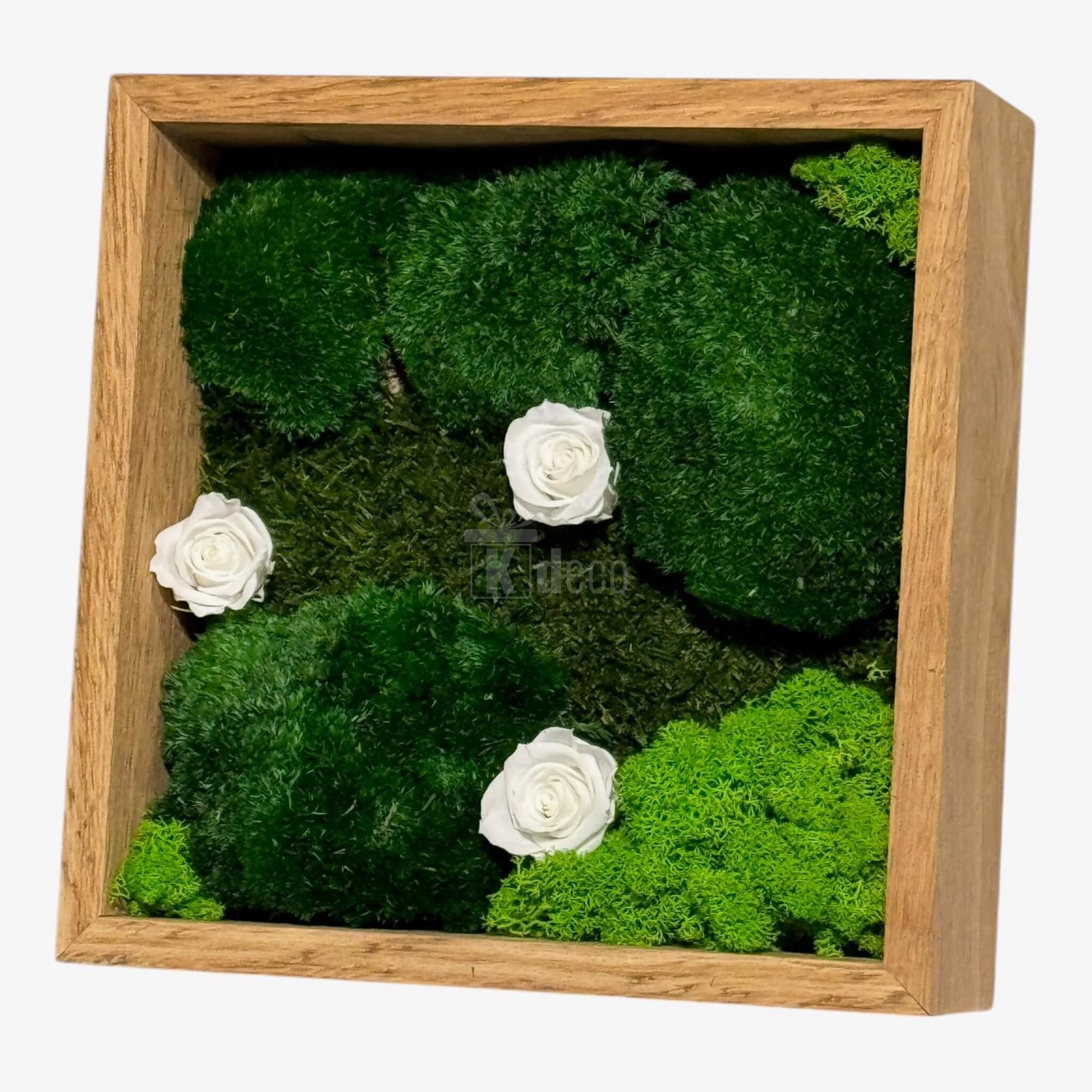 Tablou Natural cu 3 Trandafiri Criogenați Albi, mușchi stabilizat și licheni, decor premium 27x27 cm