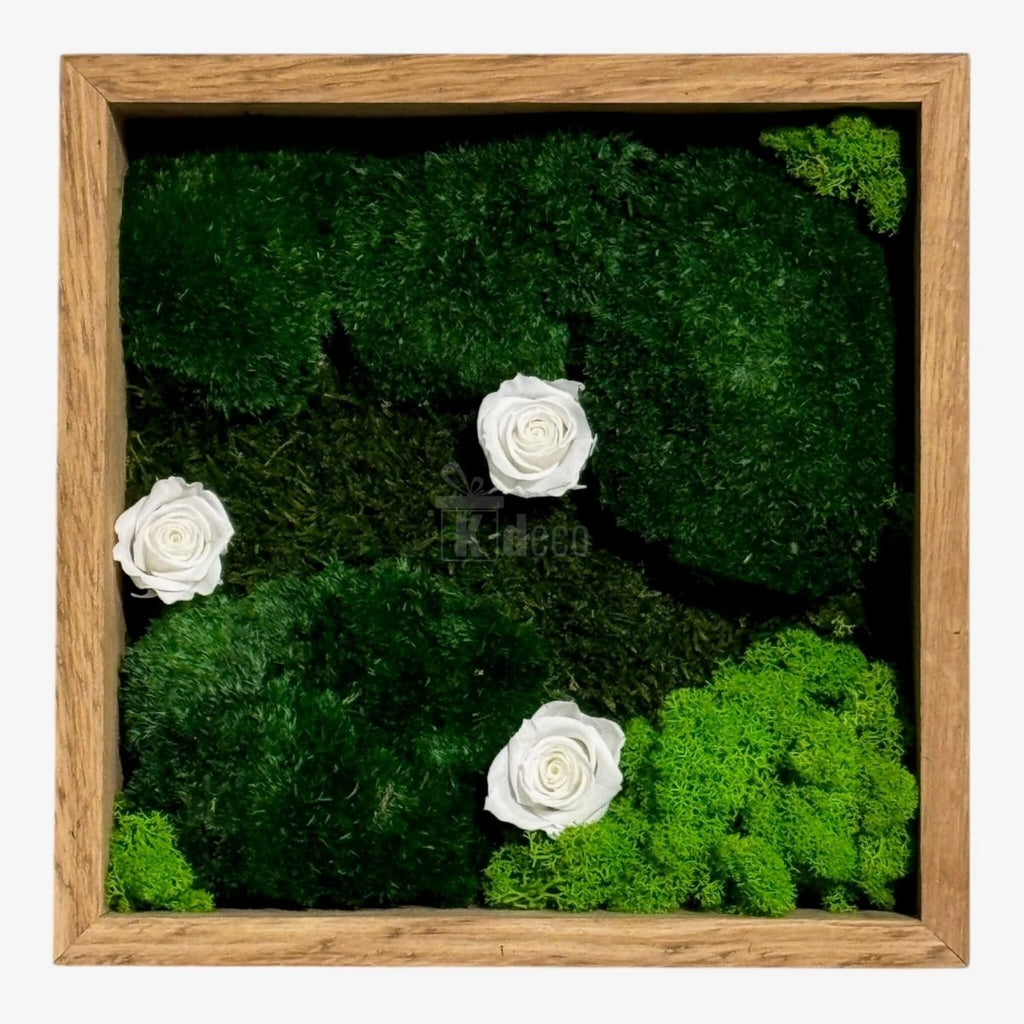 Decor natural cu trandafiri criogenați albi și licheni verzi în ramă de lemn, Tablou 27x27 cm pentru interior modern