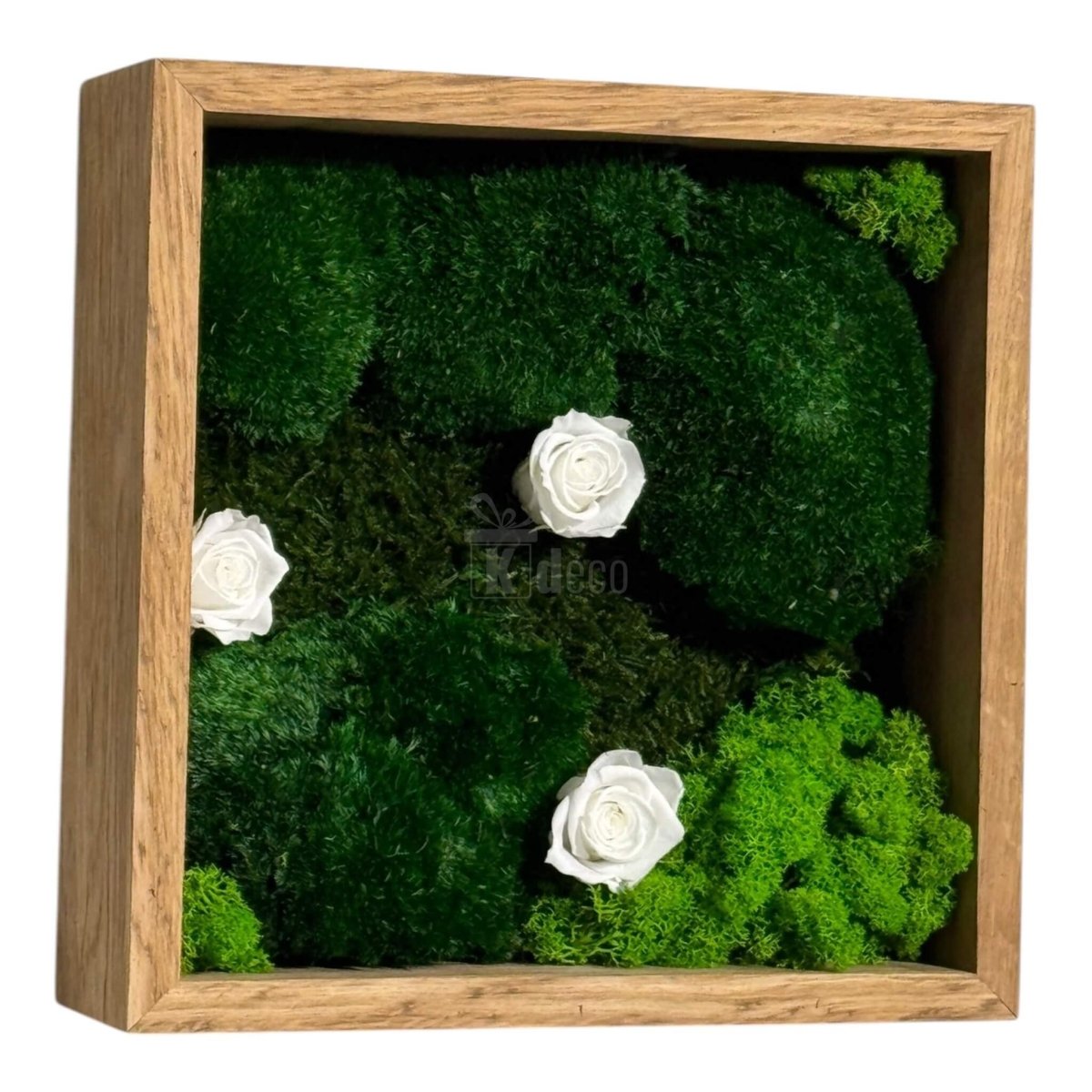 Tablou decorativ 27x27 cm cu trandafiri criogenați albi și mușchi stabilizat, ideal pentru decor eco-chic