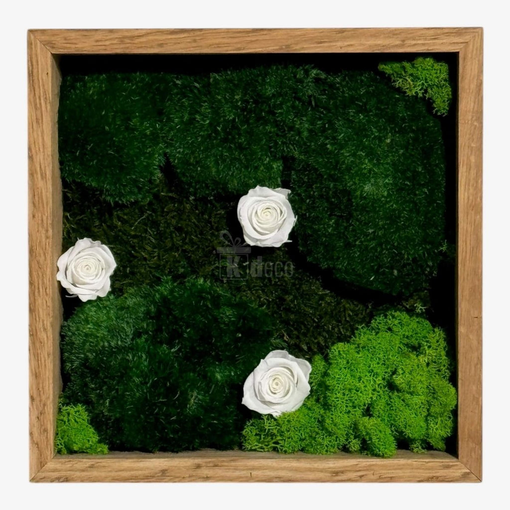 Tablou Natural cu 3 Trandafiri Criogenați Albi în ramă pătrată din lemn, decor verde cu licheni pentru living