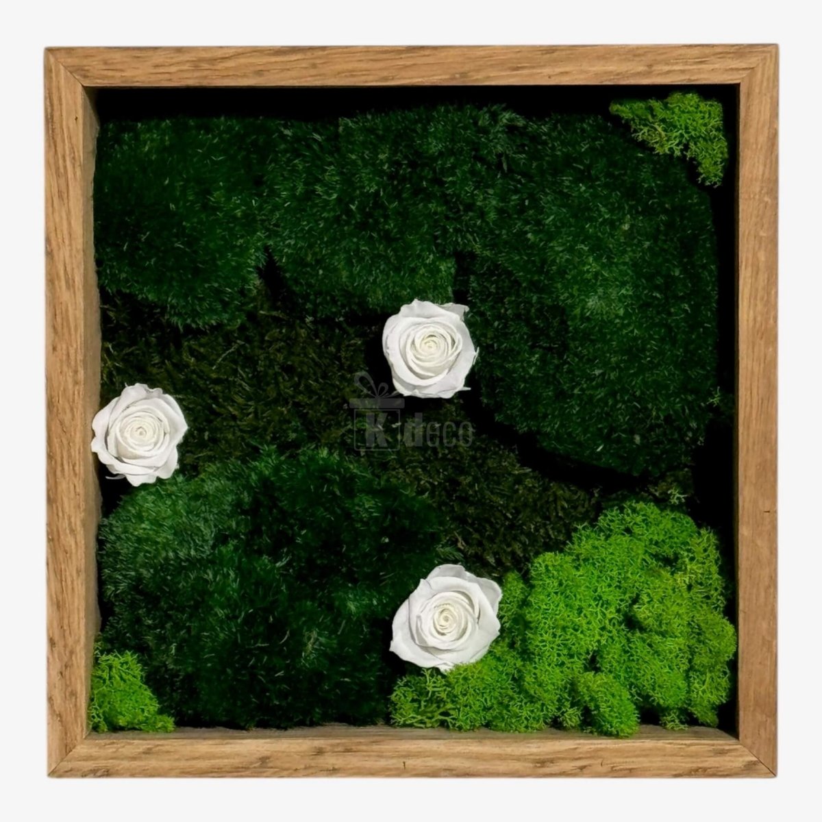 Tablou Natural cu 3 Trandafiri Criogenați Albi în ramă pătrată din lemn, decor verde cu licheni pentru living
