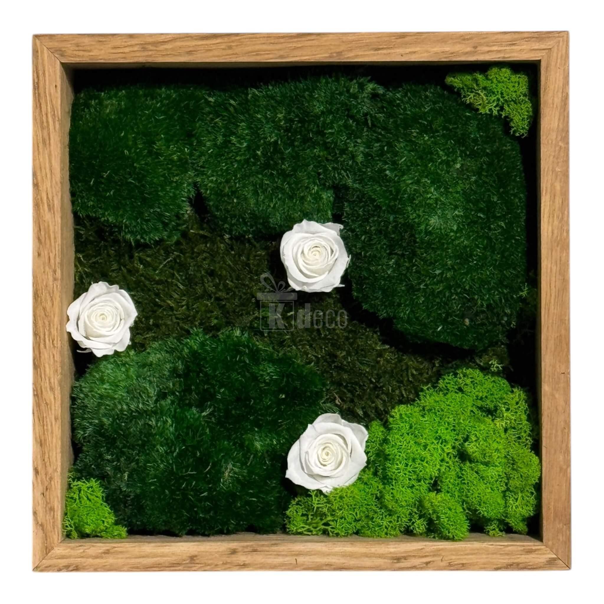 Tablou Natural cu 3 Trandafiri Criogenați Albi, Mușchi și Licheni, 27x27 cm, decor elegant pentru casă și birou