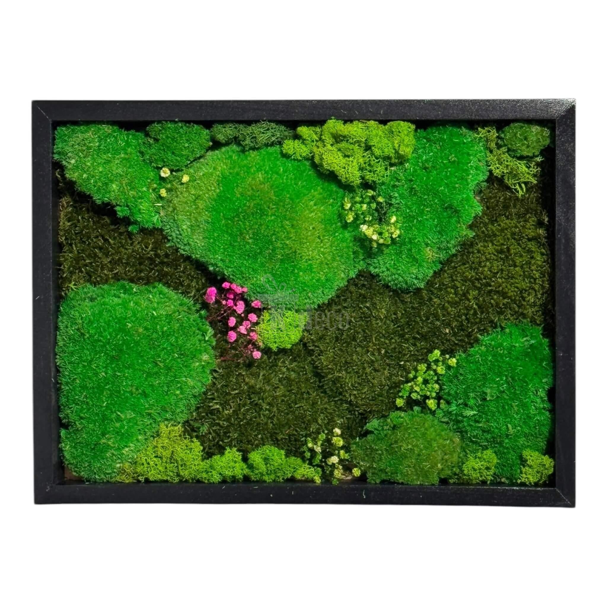 Decor eco pentru casă, Tablou Natural cu Mușchi Bombat si Plat Stabilizat 30x40 cm, cu licheni decorativi în nuanțe vibrante de verde și roz.