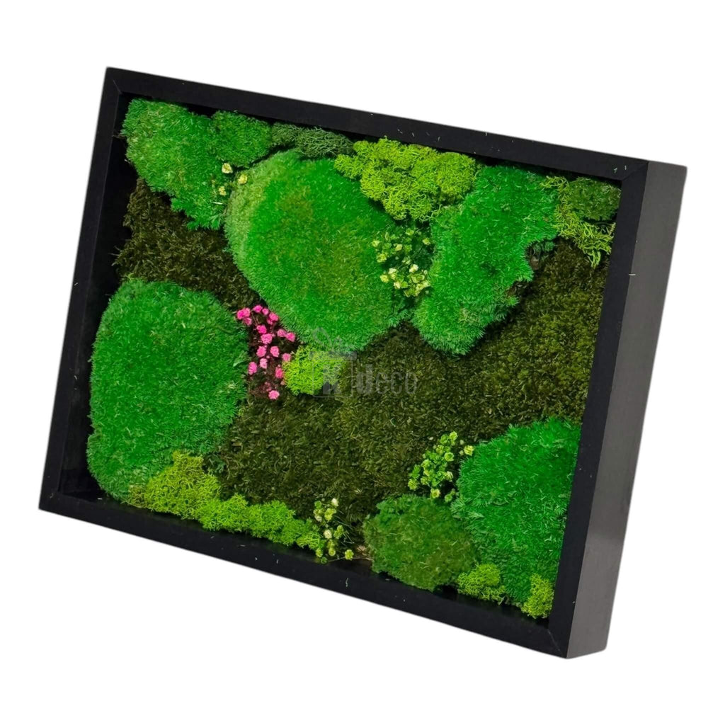 Tablou decorativ 30x40 cm cu mușchi bombat și plat stabilizat, licheni naturali colorați, perfect pentru un decor natural și modern în casă.