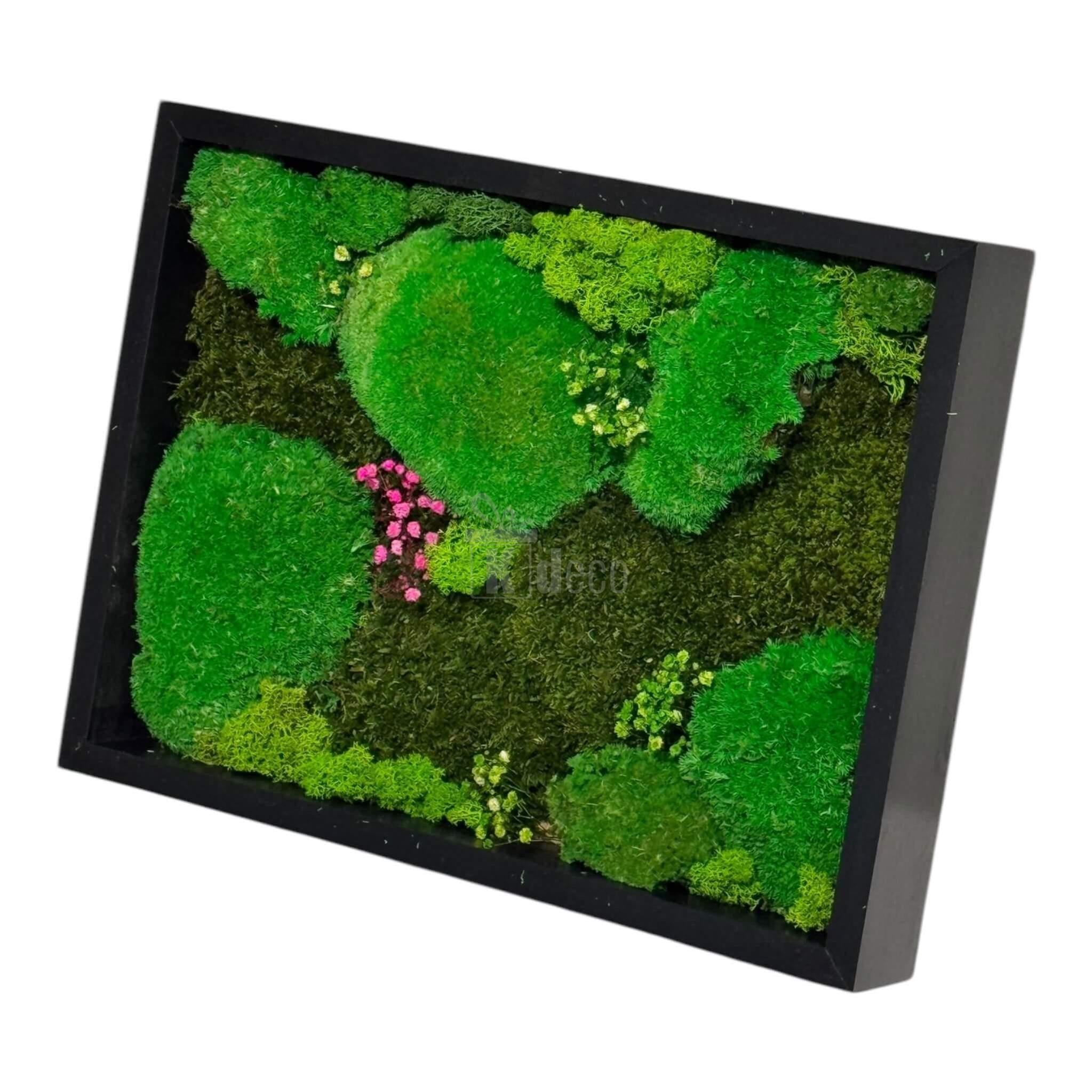 Tablou decorativ 30x40 cm cu mușchi bombat și plat stabilizat, licheni naturali colorați, perfect pentru un decor natural și modern în casă.