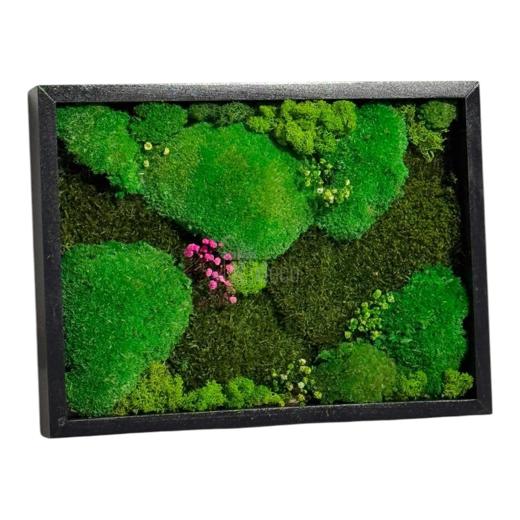 Tablou Natural cu Mușchi Bombat si Plat Stabilizat 30x40 cm, cu licheni verzi și roz, ideal pentru decorarea pereților în stil eco și minimalist.