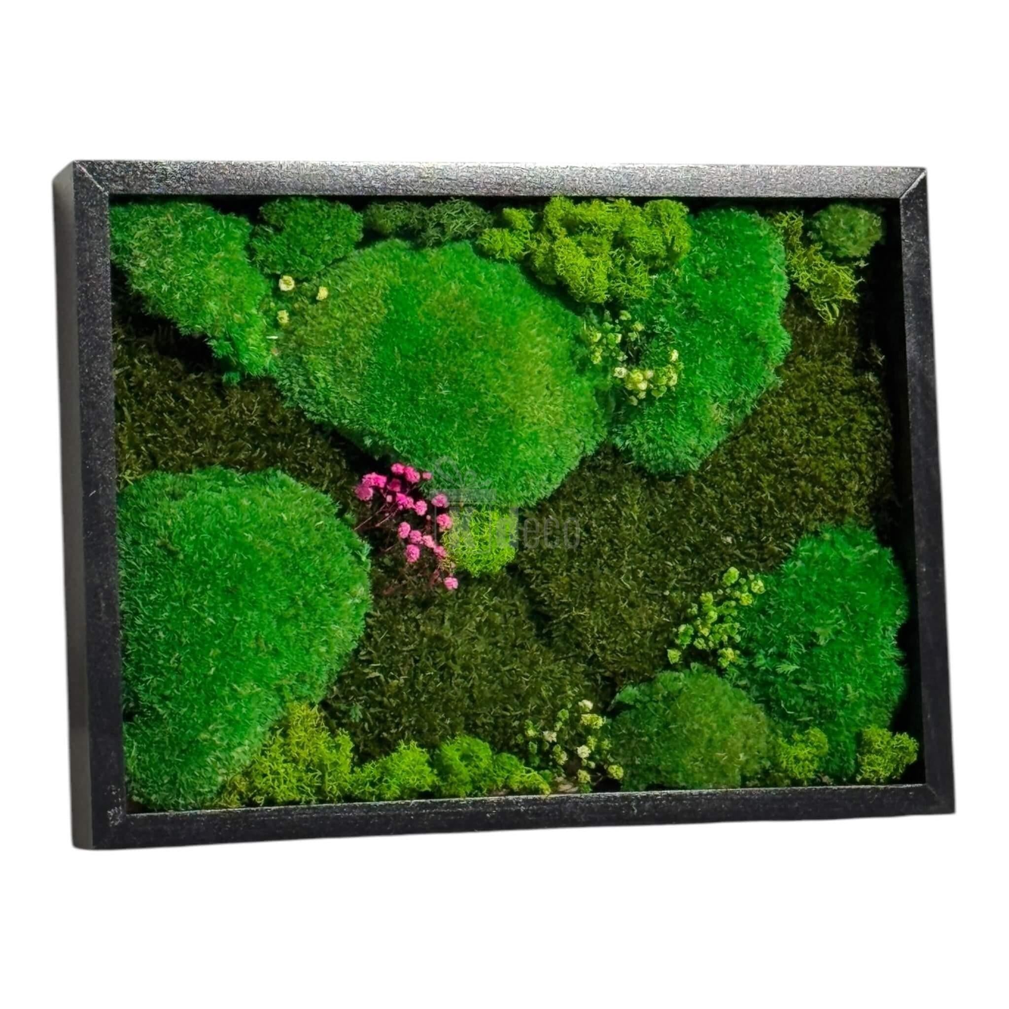 Element decorativ eco, Tablou Natural cu Mușchi Bombat si Plat Stabilizat 30x40 cm, cu licheni naturali colorați, potrivit pentru living sau birou.