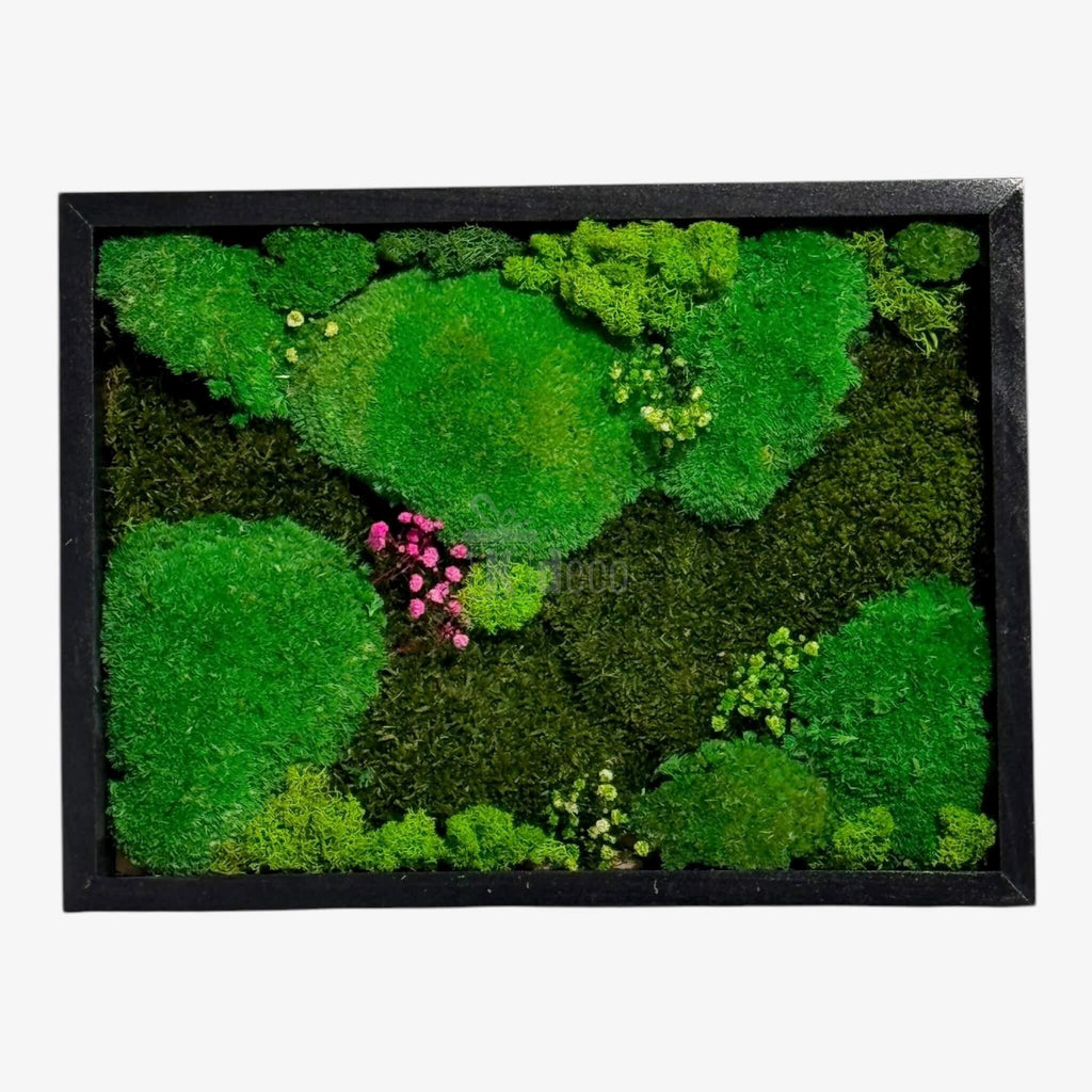 Tablou Natural cu Mușchi Bombat si Plat Stabilizat 30x40 cm, cu licheni decorativi verzi și accente florale roz, pentru un decor interior natural.