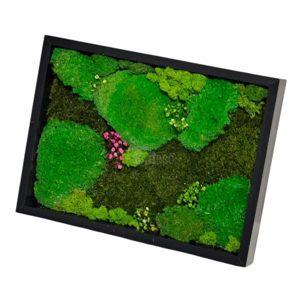 Tablou decorativ cu mușchi bombat și plat stabilizat 30x40 cm, cu licheni naturali colorați, perfect pentru decorarea pereților în stil biofilic.