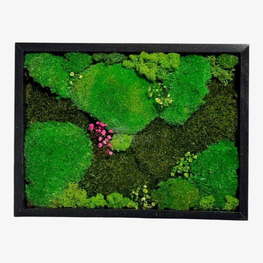 Tablou Natural cu Mușchi Bombat si Plat Stabilizat 30x40 cm, cu licheni verzi și roz, ideal pentru decorarea spațiilor interioare cu un aer natural.