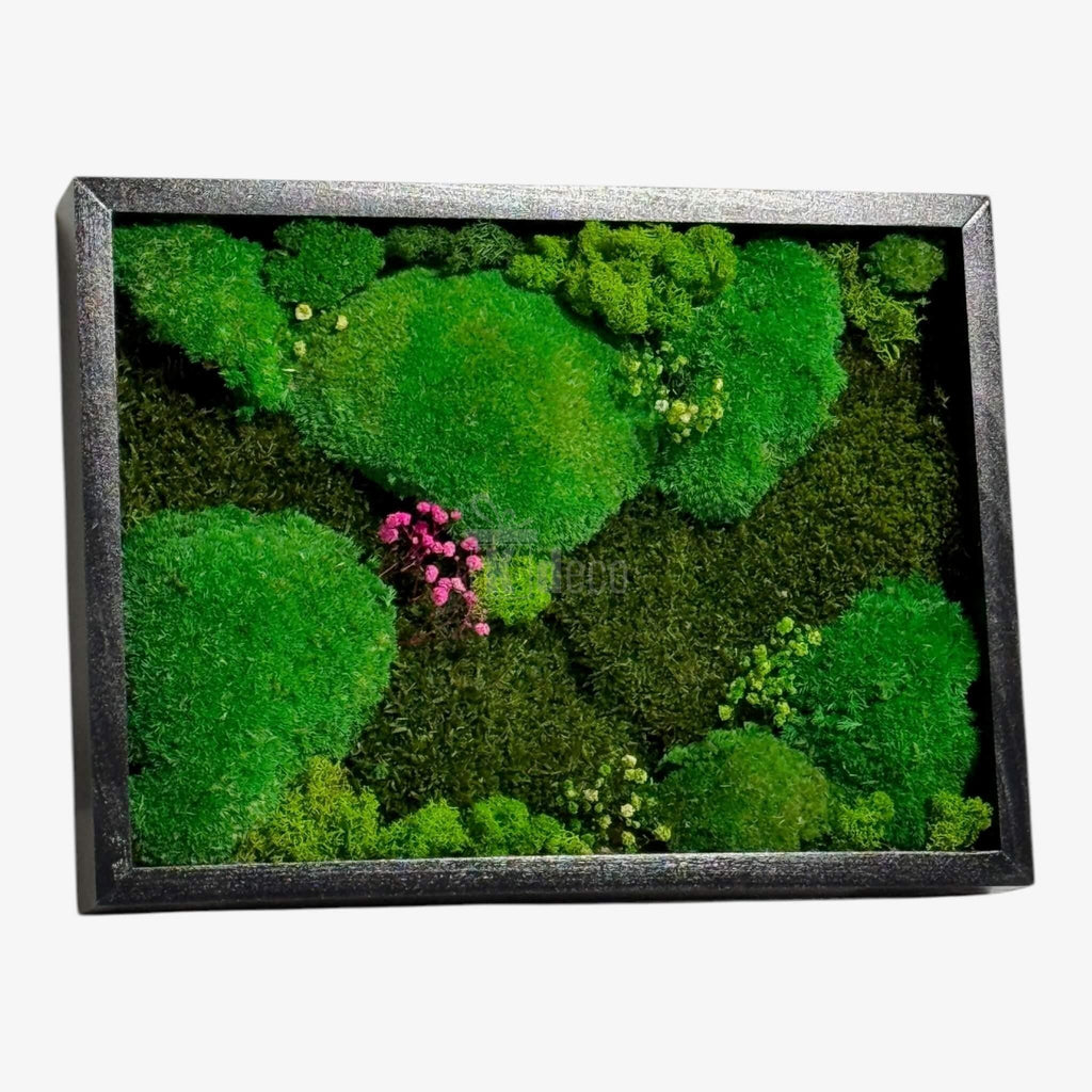 Decor de perete cu licheni naturali, Tablou Natural cu Mușchi Bombat si Plat Stabilizat 30x40 cm, în nuanțe vibrante de verde și accente roz.