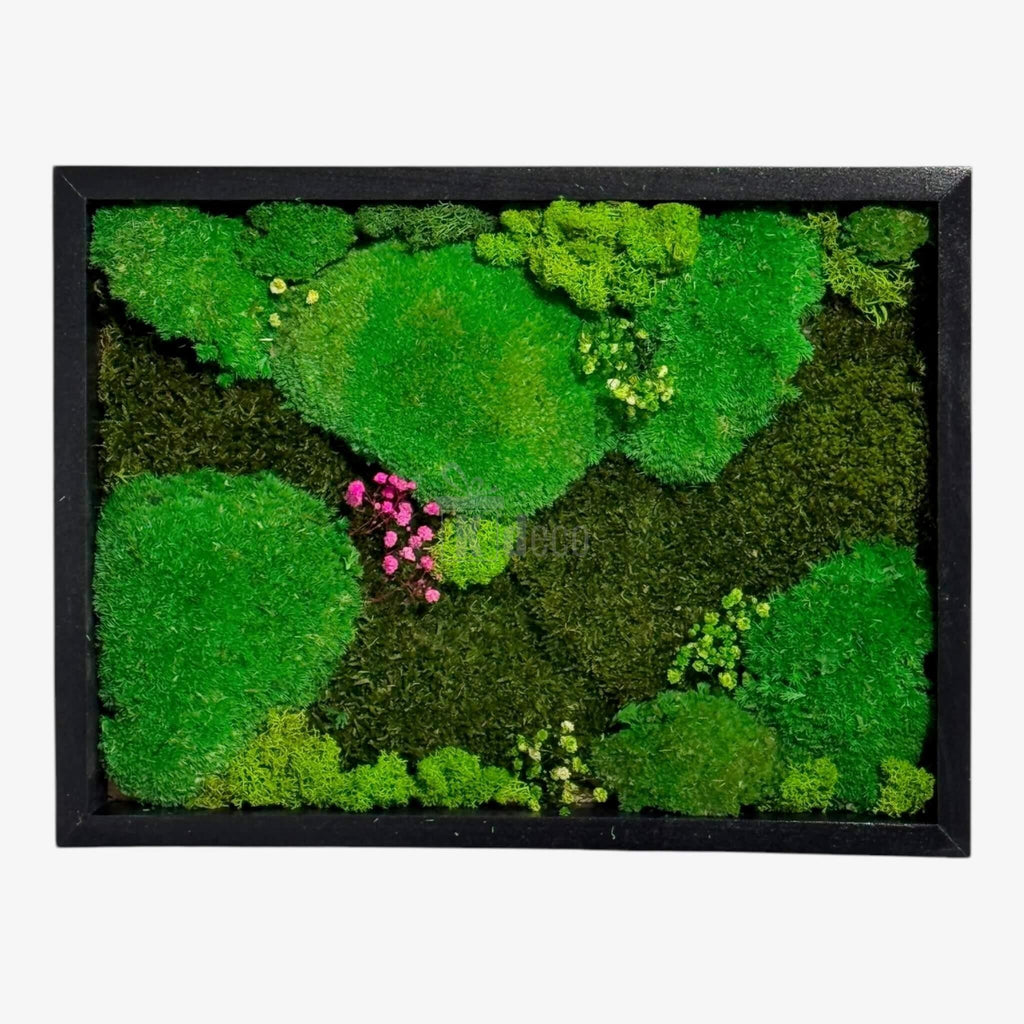 Tablou Natural cu Mușchi Bombat si Plat Stabilizat 30x40 cm, decor cu licheni naturali verzi și accente roz, ideal pentru decor interior eco.