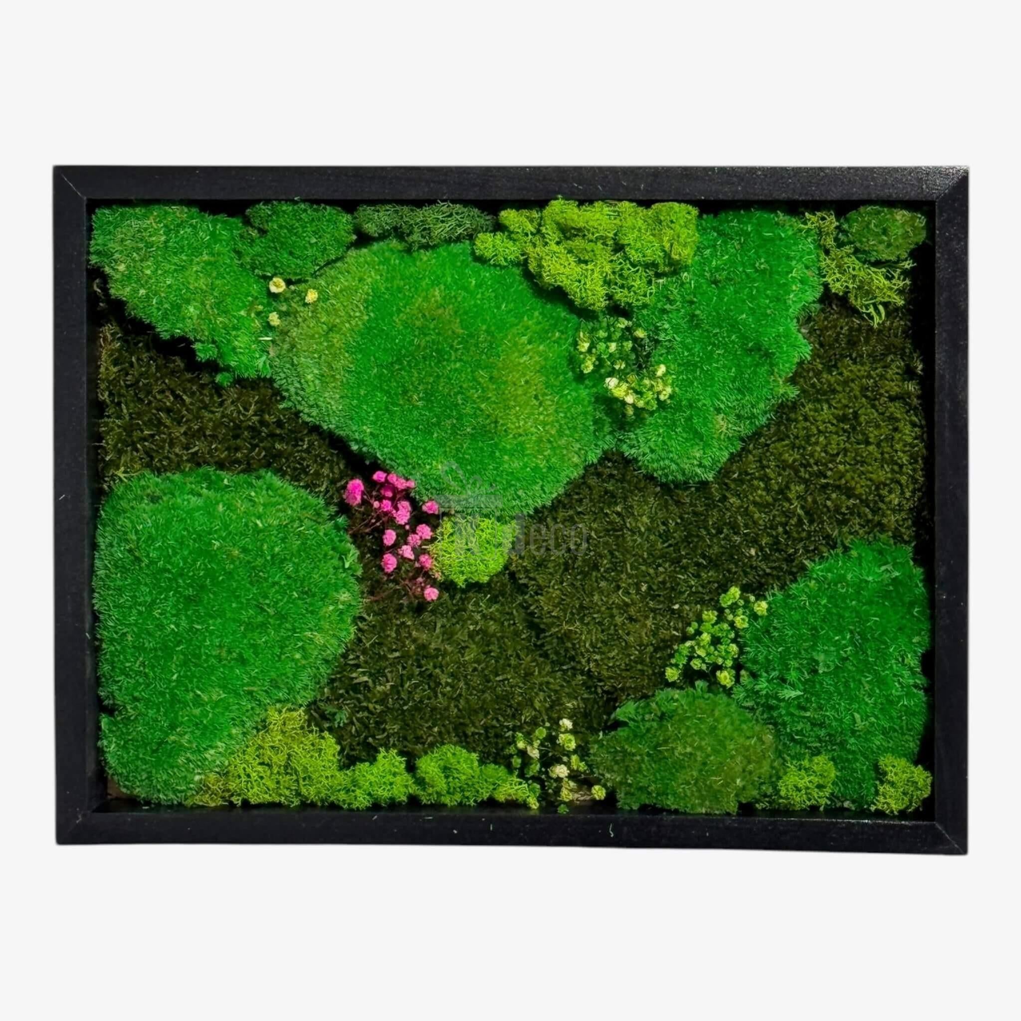 Tablou Natural cu Mușchi Bombat si Plat Stabilizat 30x40 cm, decor cu licheni naturali verzi și accente roz, ideal pentru decor interior eco.