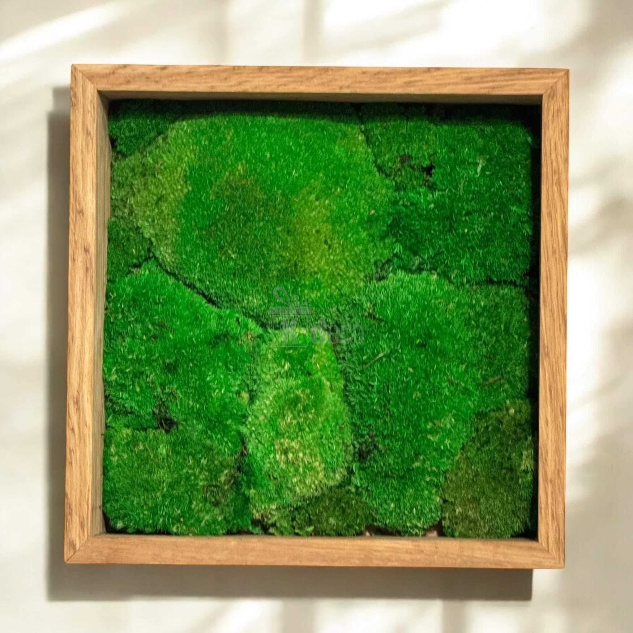 Decor eco cu mușchi stabilizat verde viu în ramă de lemn, Tablou Natural fără întreținere, ideal pentru interior modern, 27x27cm.