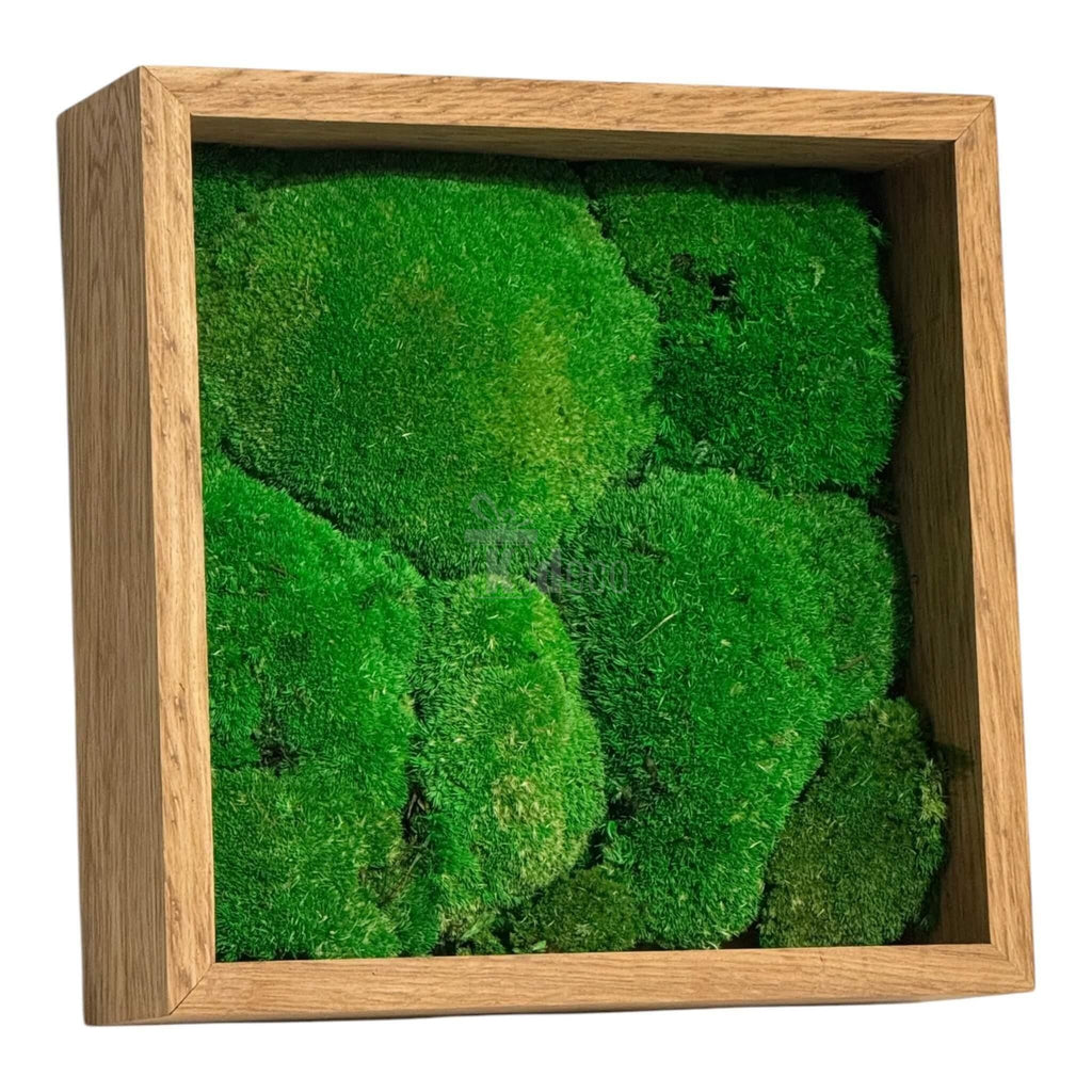 Tablou Natural cu mușchi verde stabilizat, vedere laterală, ramă din lemn, decor eco pentru living sau birou, fără întreținere.