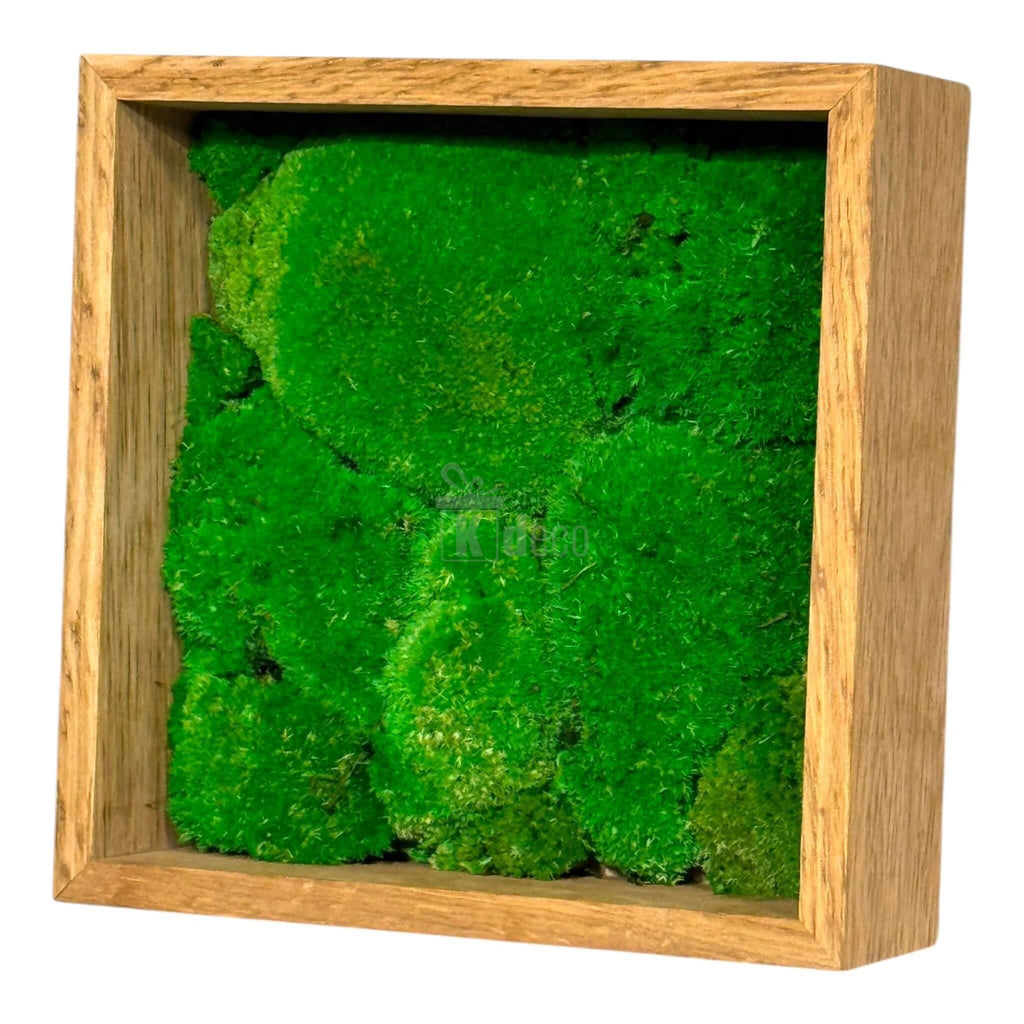 Tablou decorativ cu mușchi bombat stabilizat, ramă din lemn natural, verde viu, perfect pentru decor interior eco, 27x27cm.