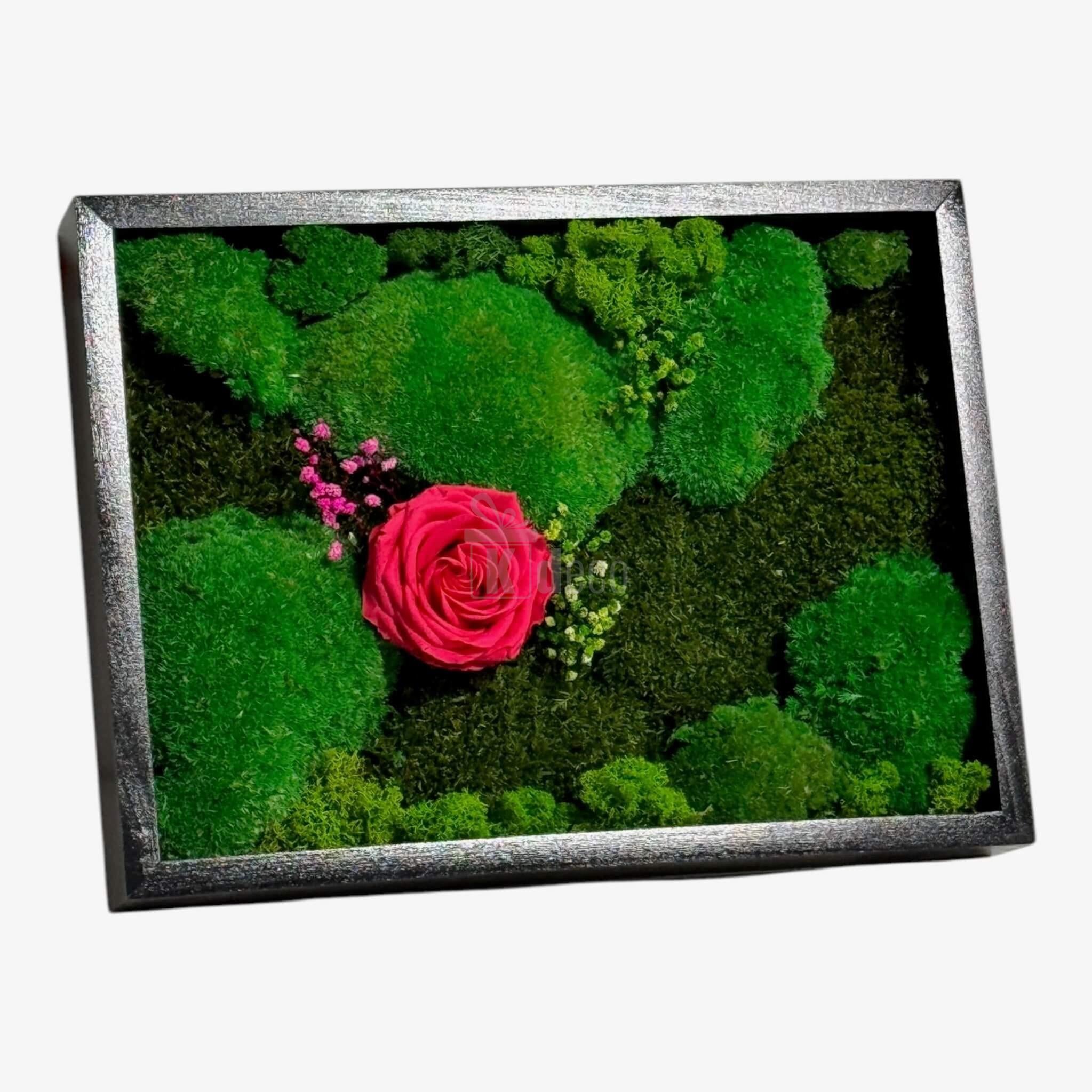 Tablou Natural cu Mușchi, Licheni și Trandafir Criogenat Roz ÎNCHIS – Eleganță și Natură, 30x40 cm - Kdeco.ro