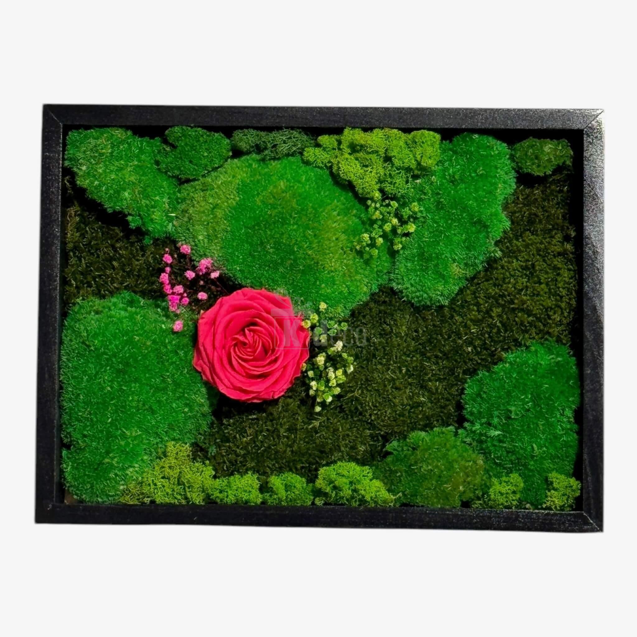 Tablou Natural cu Mușchi, Licheni și Trandafir Criogenat Roz ÎNCHIS – Eleganță și Natură, 30x40 cm - Kdeco.ro