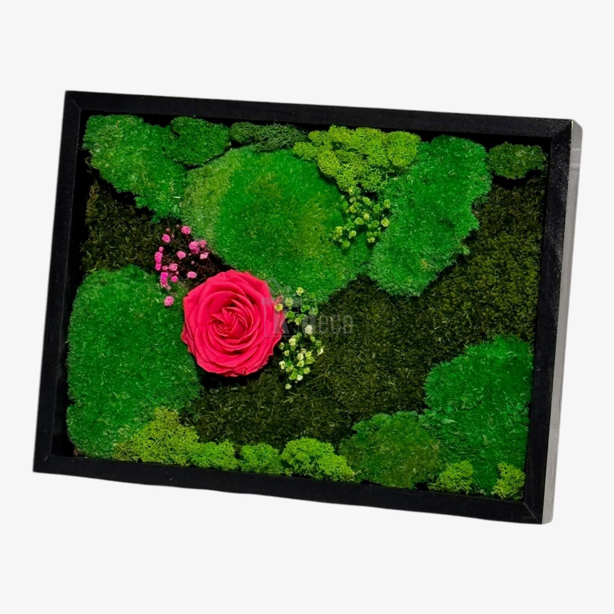 Tablou Natural cu Mușchi, Licheni și Trandafir Criogenat Roz ÎNCHIS – Eleganță și Natură, 30x40 cm - Kdeco.ro