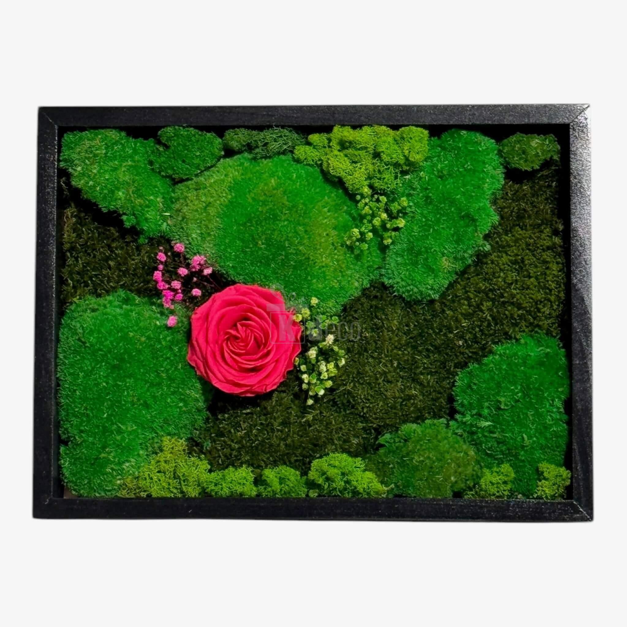 Tablou Natural cu Mușchi, Licheni și Trandafir Criogenat Roz ÎNCHIS – Eleganță și Natură, 30x40 cm - Kdeco.ro