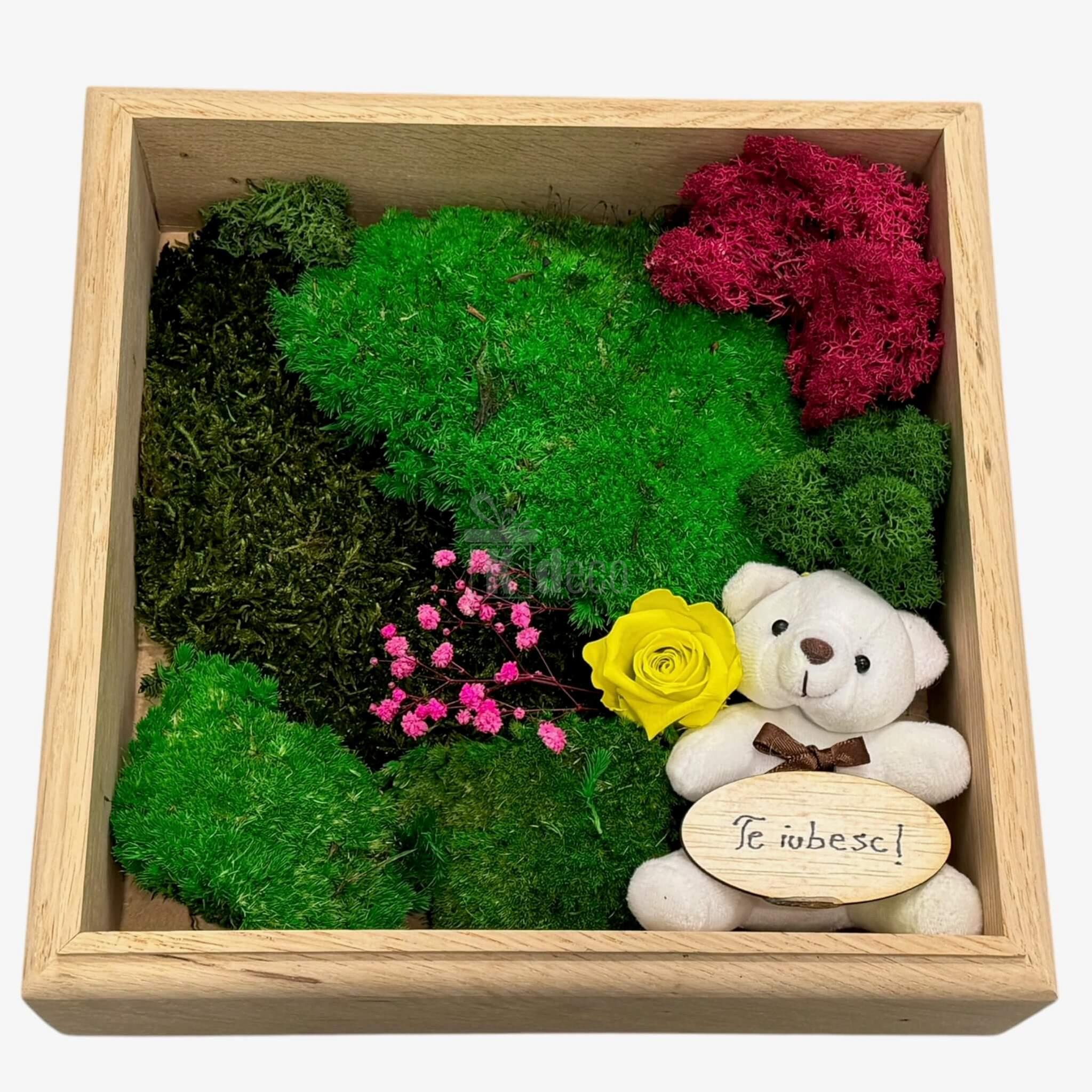 Cadou decorativ cu ursuleț și flori stabilizate, Tablou Natural 27x27cm – O Declarație de Dragoste Unică 💛