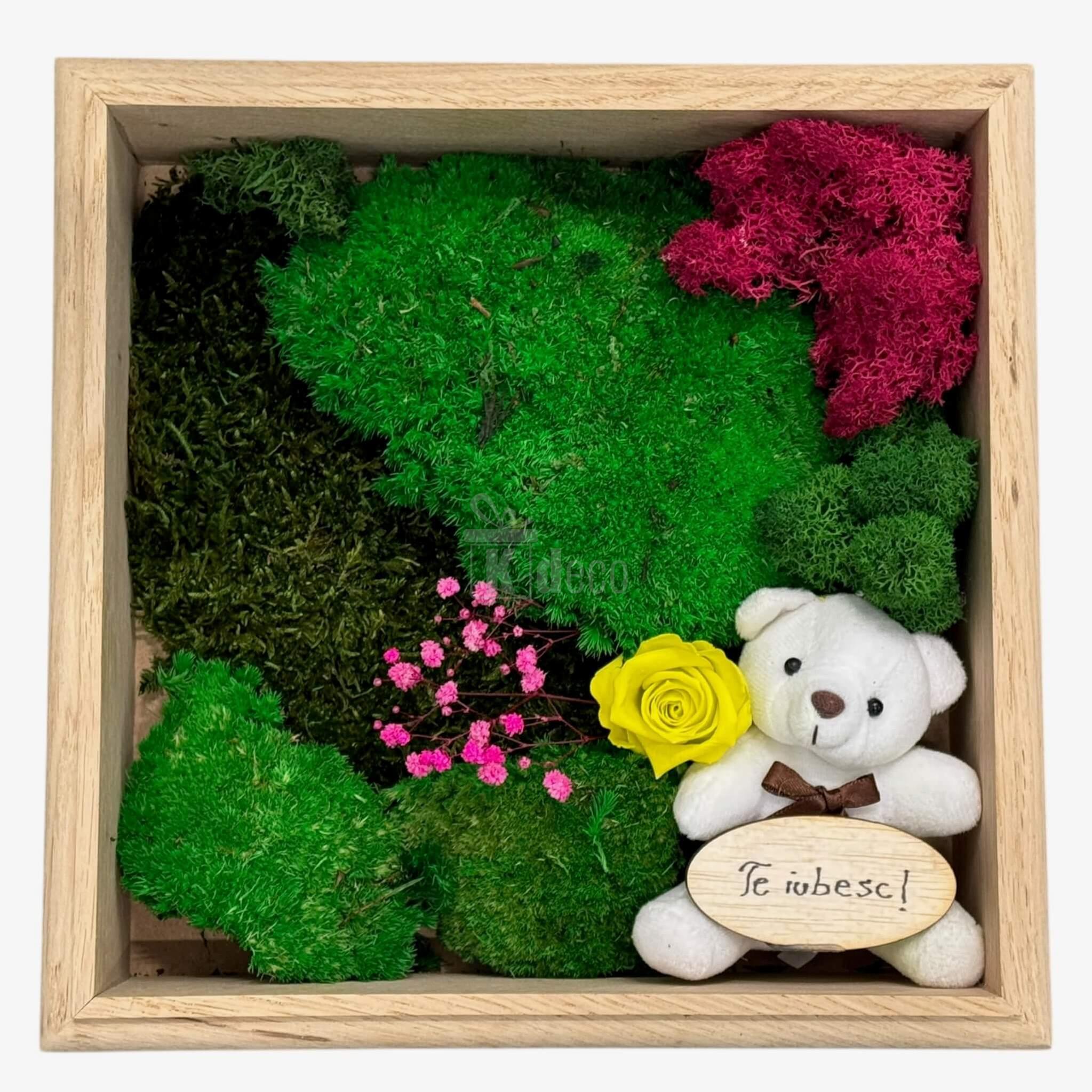 Tablou Natural cu plante verzi și ursuleț cu mesaj de iubire, decor elegant pentru Home & Garden 💛