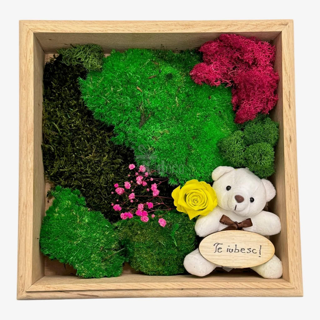 Tablou Natural 27x27cm cu mușchi, licheni și ursuleț, decor romantic ideal pentru cadouri de suflet 💛