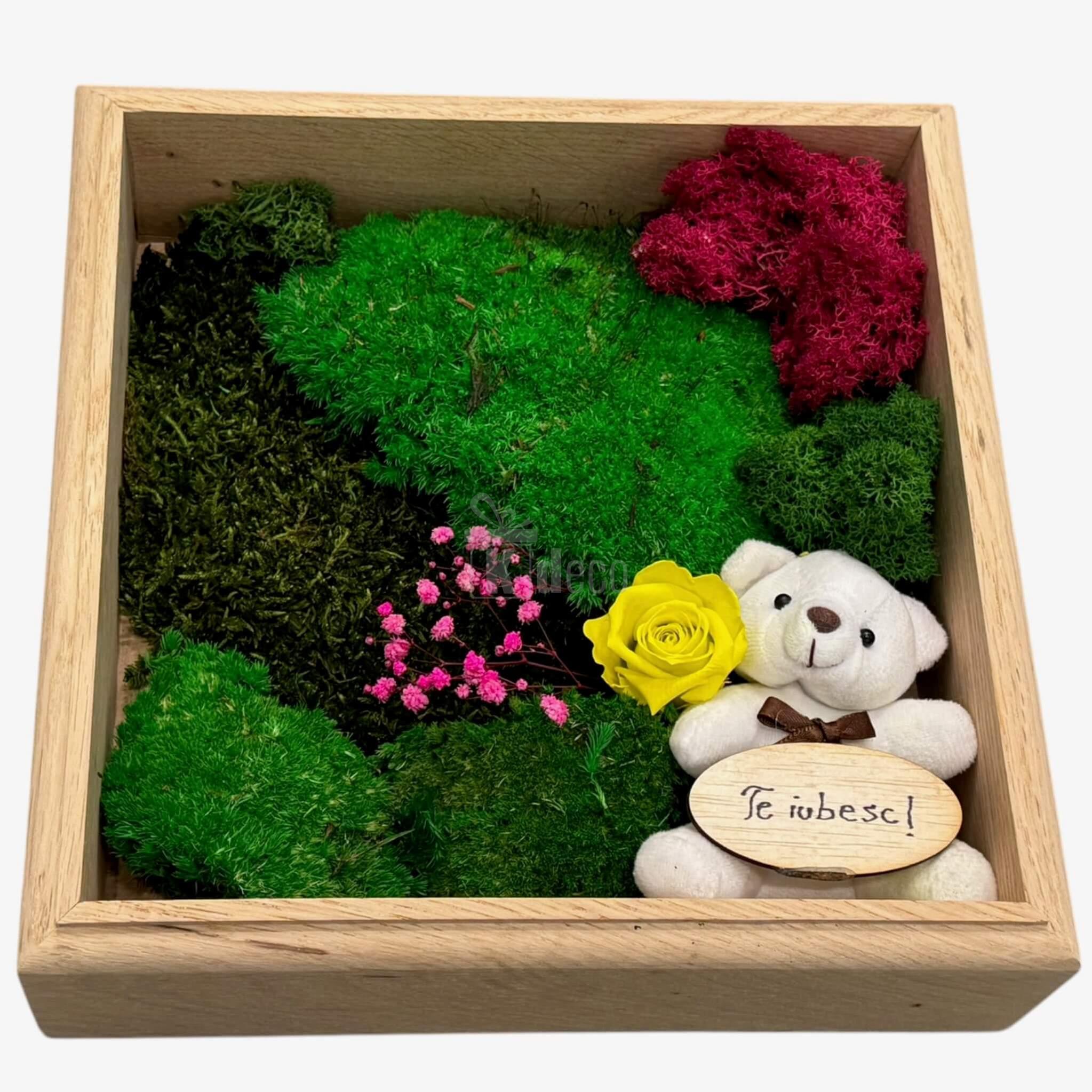 Tablou Natural cu mesaj 'Te iubesc!', mușchi, licheni și ursuleț alb, decor emoționant pentru casă sau cadou 💛