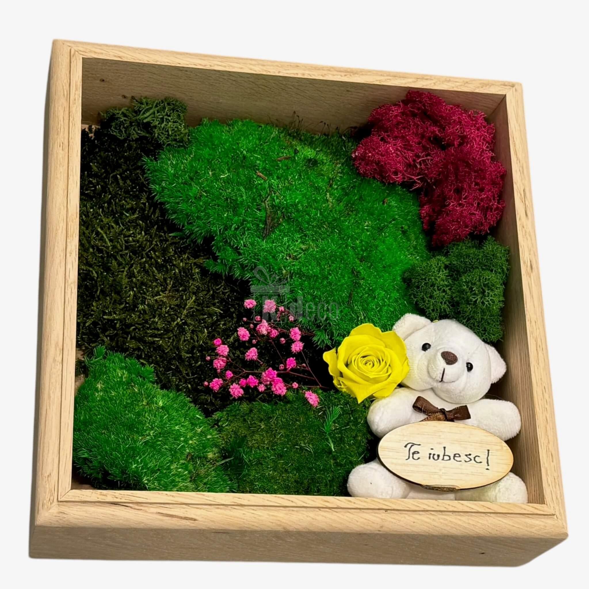 Tablou Natural cu plante stabilizate și ursuleț cu mesaj 'Te iubesc!', ideal pentru decor romantic și cadouri 💛