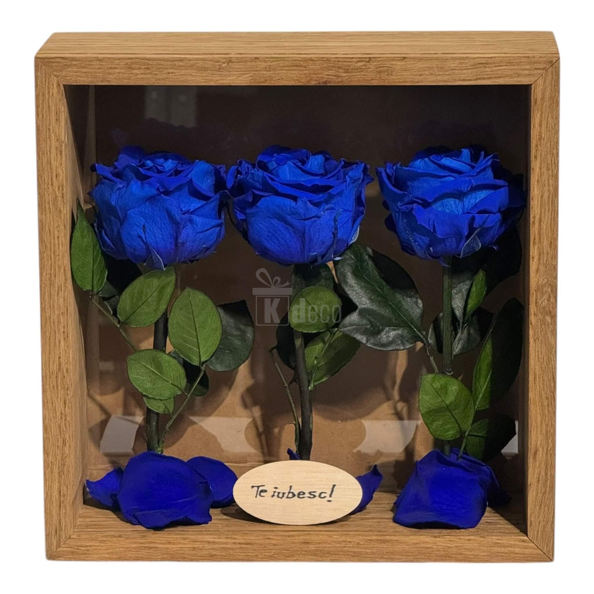 Tablou cu trandafiri criogenați albaștri și mesaj romantic, decor de perete 27x27 cm pentru momente speciale și iubire eternă.