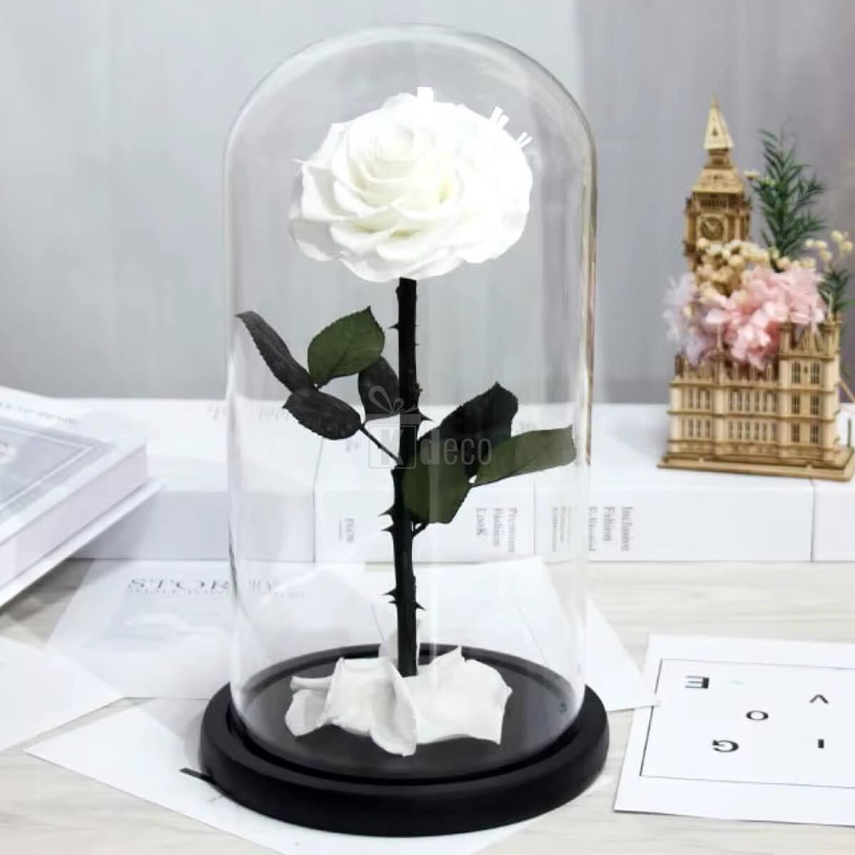 Trandafir Criogenat Alb Bonita în cupolă de sticlă cu suport din lemn negru, cadou personalizat elegant pentru femei, ideal pentru aniversări.